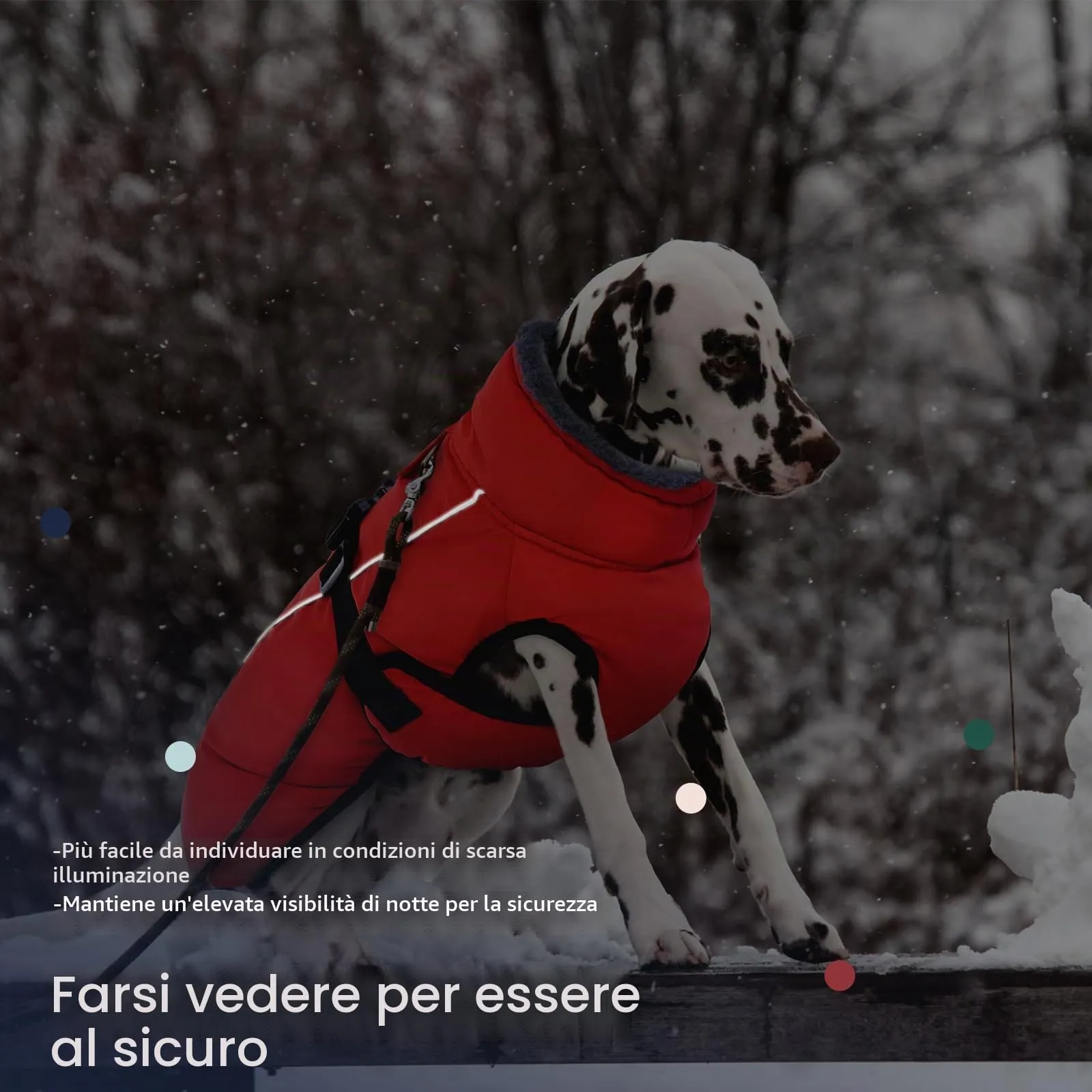 IECOii Cappotto Invernale per Cani Riflettente in Pile con Fibbia Regolabile e Foro per Guinzaglio - immagine 5