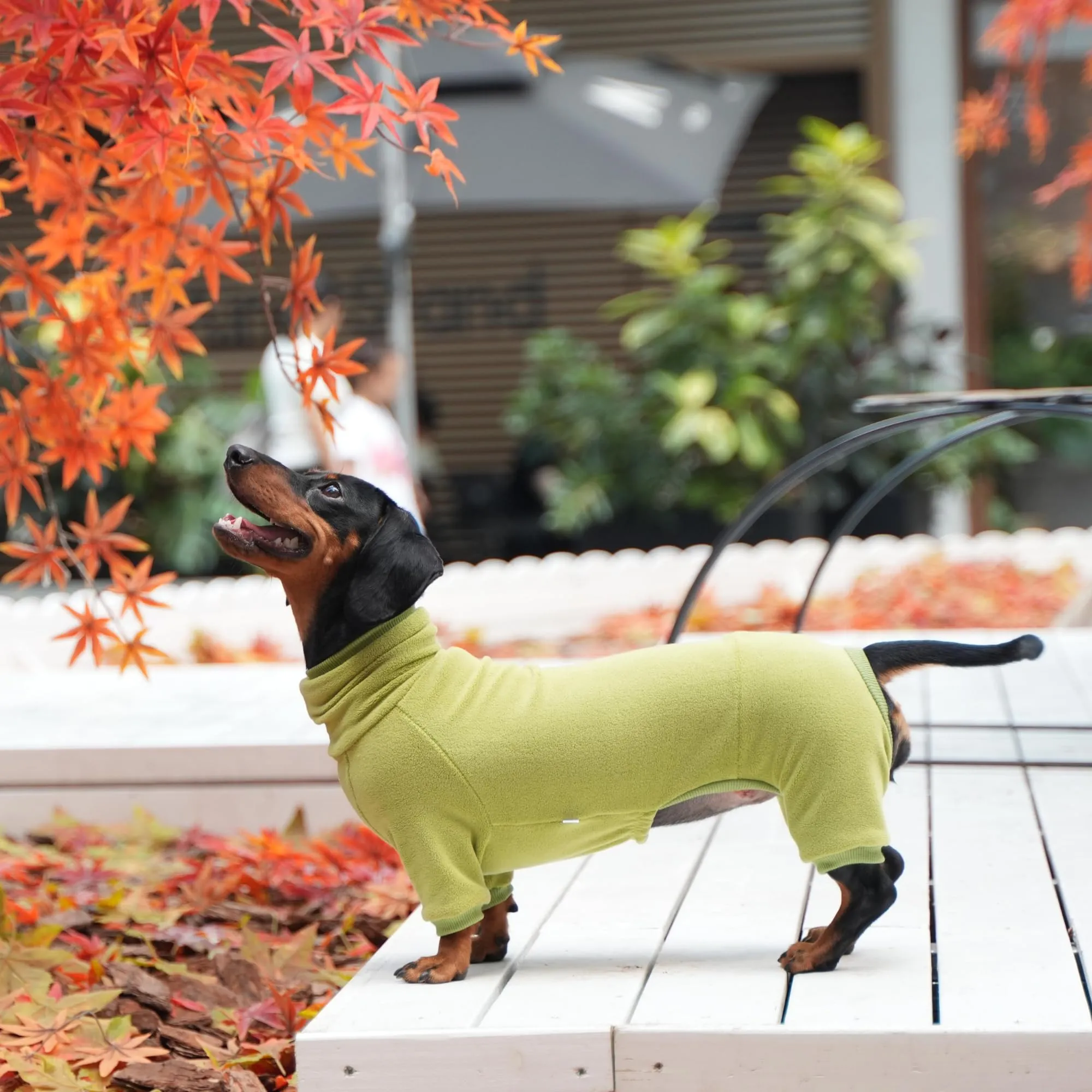 ESCCBOO Maglione a collo alto per bassotti, verde, S - immagine 4