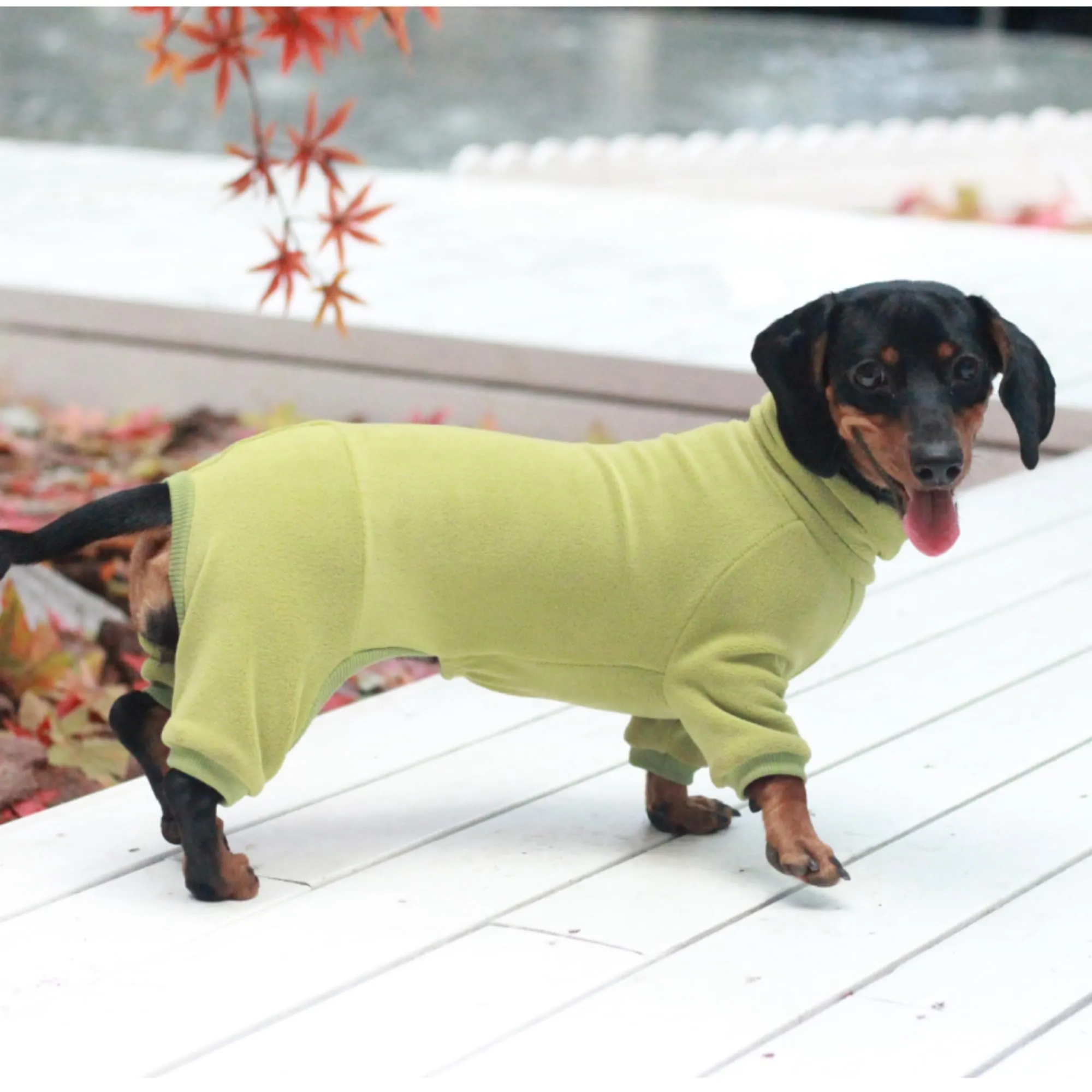 ESCCBOO Maglione a collo alto per bassotti, verde, S - immagine 6