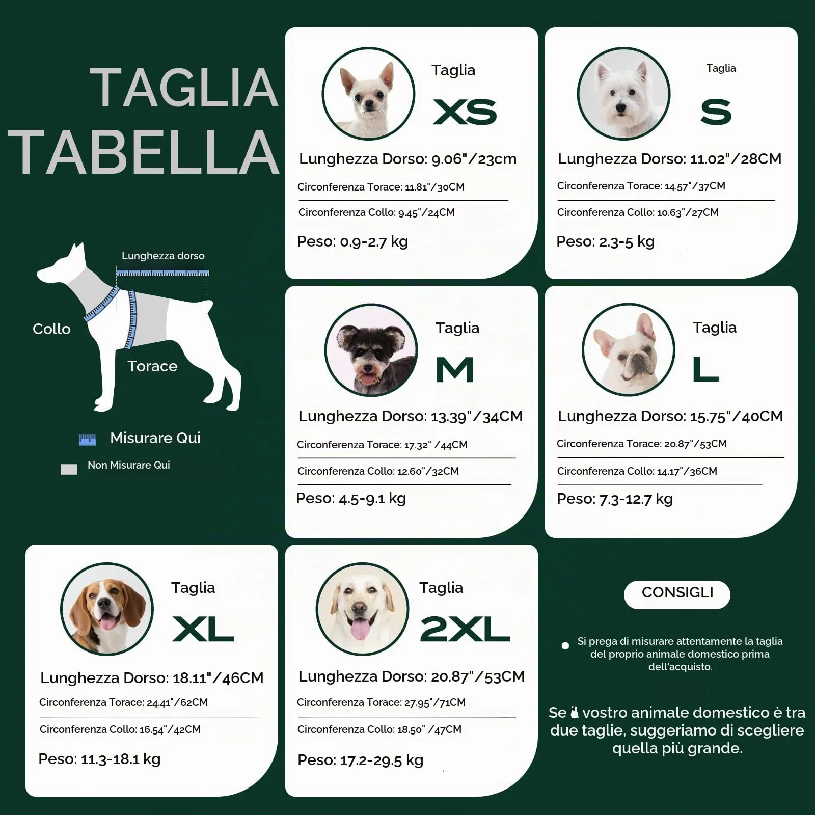 ASENKU Maglioncino per Cane, Taglia S, Verde, Tinta Unita - immagine 5