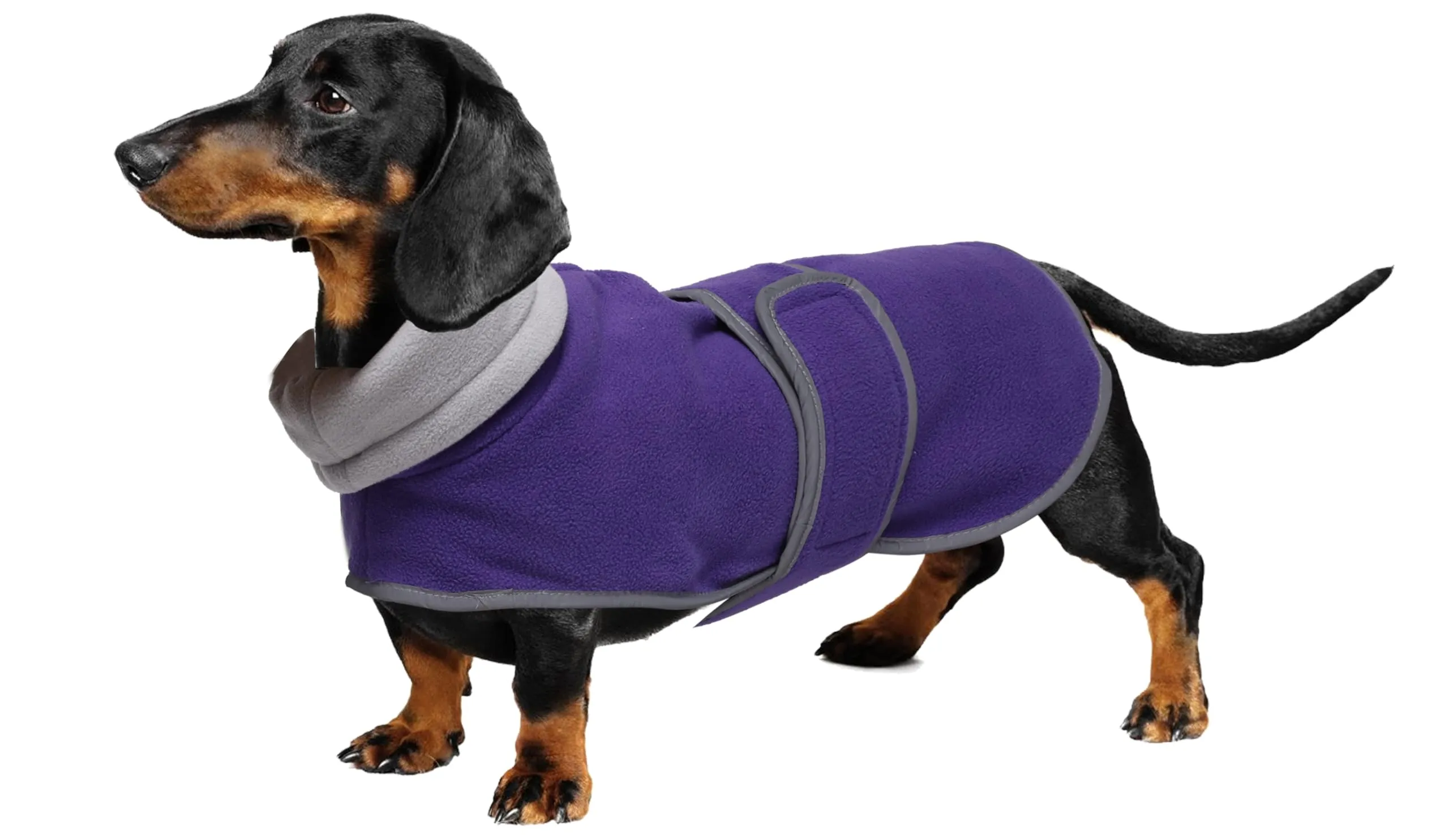 Geyecete Cappotto Invernale per Bassotti in Pile con Foro per Imbracatura, Viola, S - immagine 1