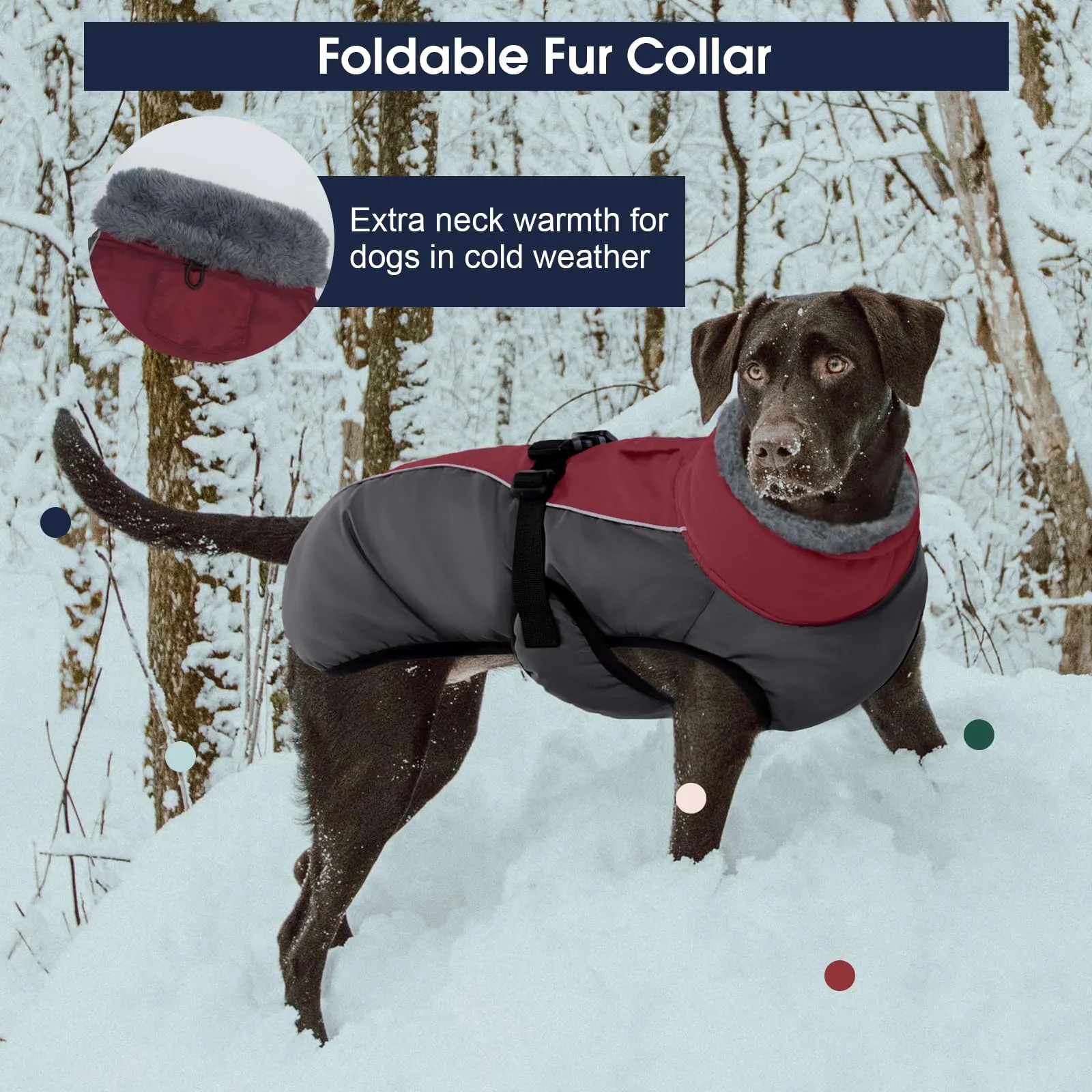 IECOii Cappotto in pile invernale impermeabile per cani, taglia XXX-Large - immagine 6