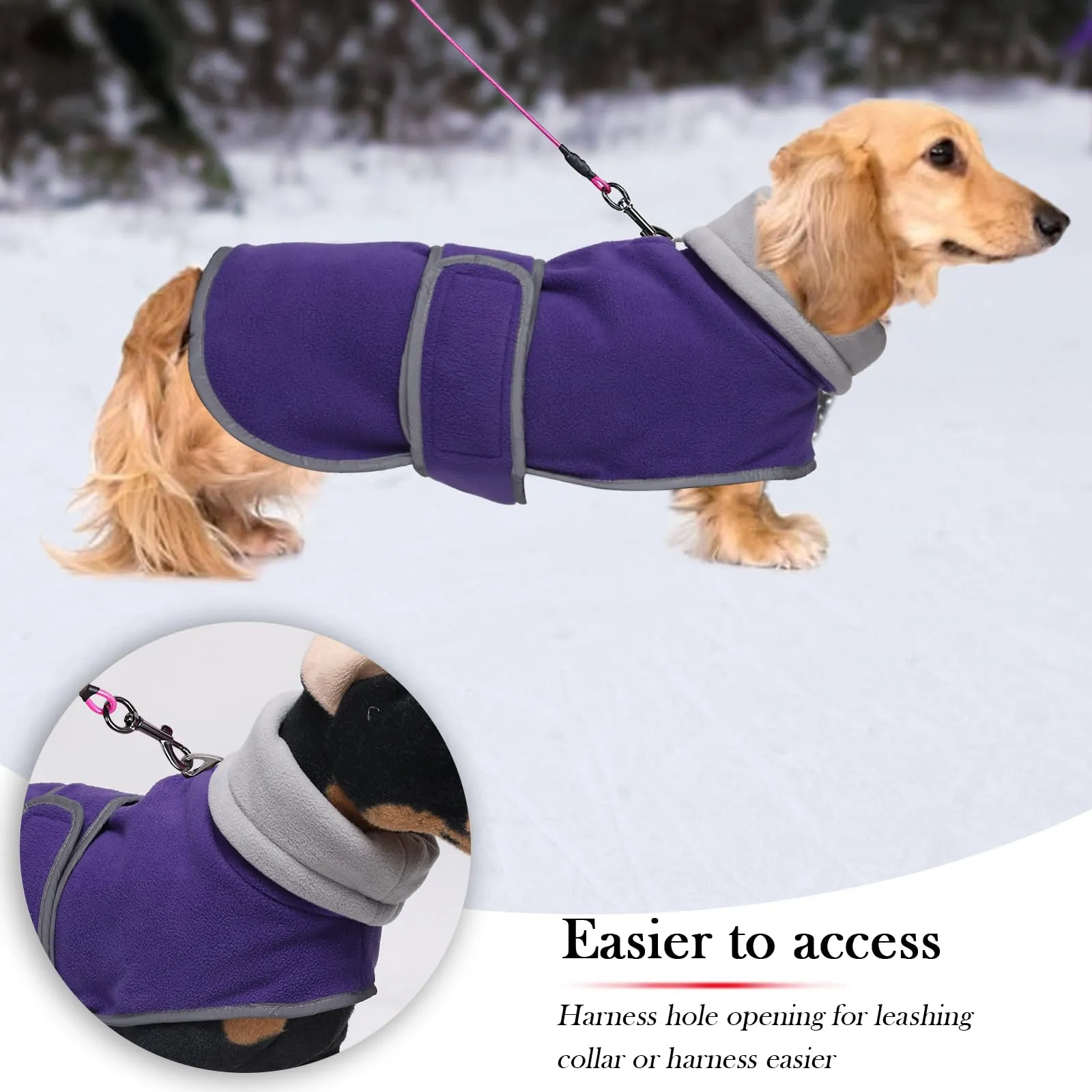Geyecete Cappotto Invernale in Pile per Cani Bassotti con Foro per Imbracatura, Viola, L - immagine 3