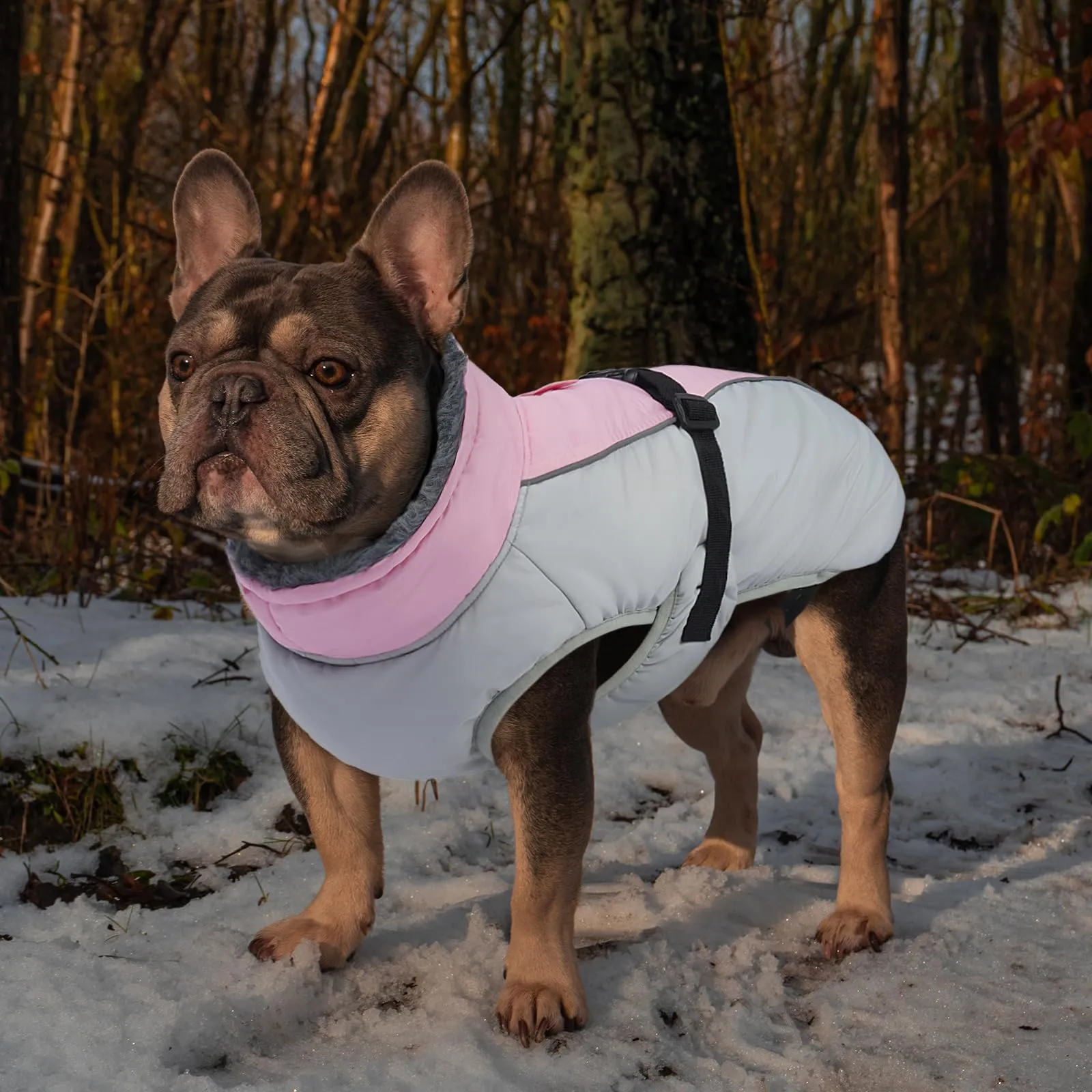 IECOii Cappotto Invernale per Cani in Pile Impermeabile e Riflettente, Grigio-Rosa, Piccolo - immagine 7