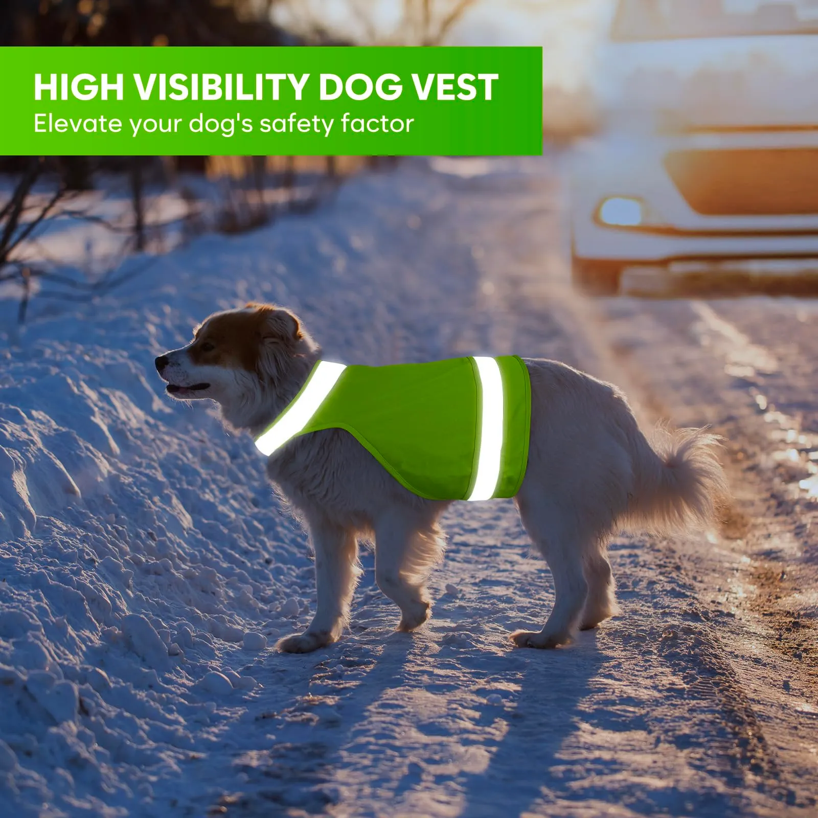 DQGHQME Set di 2 Gilet Catarifrangenti per Cani, Verde e Arancione, Taglia L - immagine 4