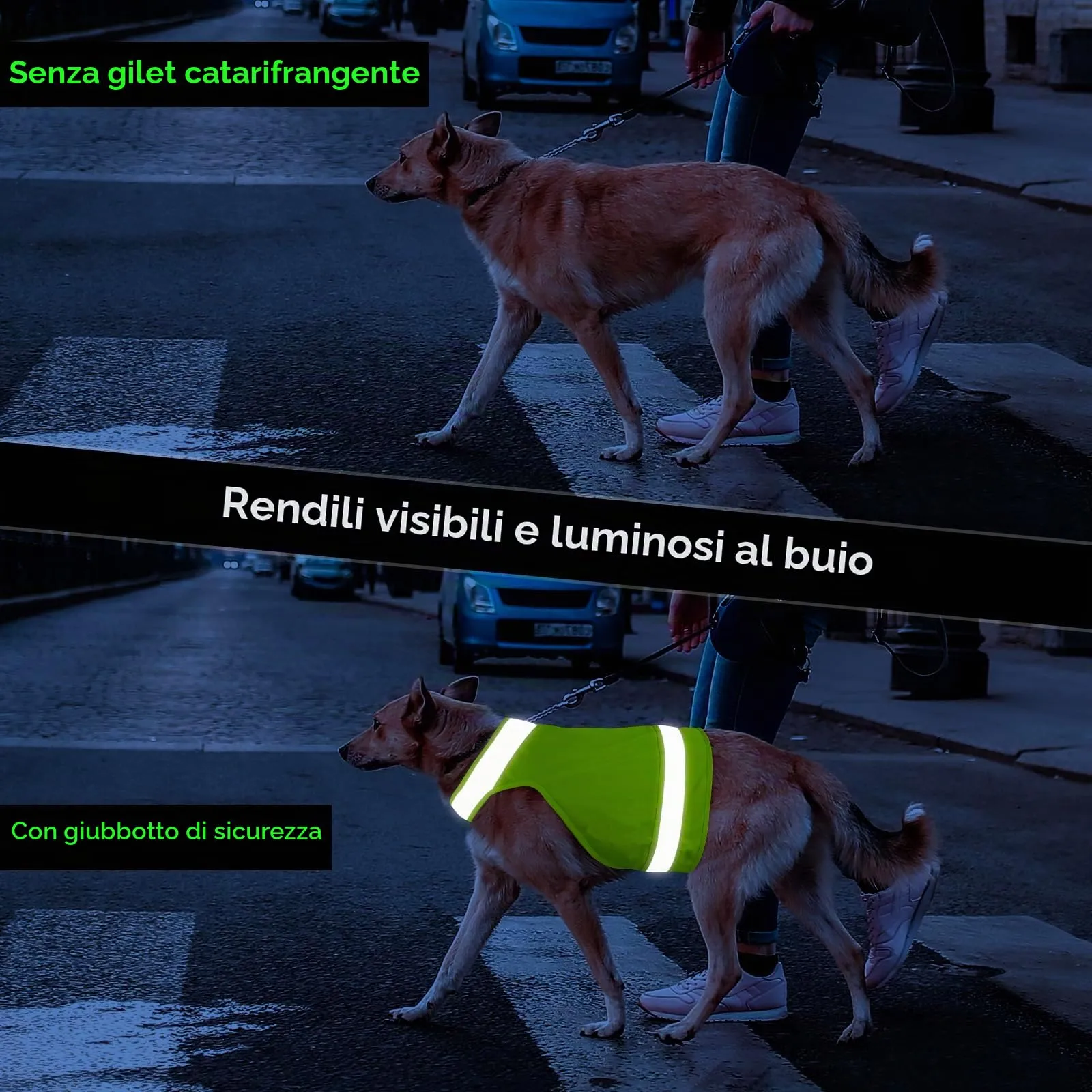 DQGHQME Set di 2 Gilet Catarifrangenti per Cani, Verde e Arancione, Taglia L - immagine 5