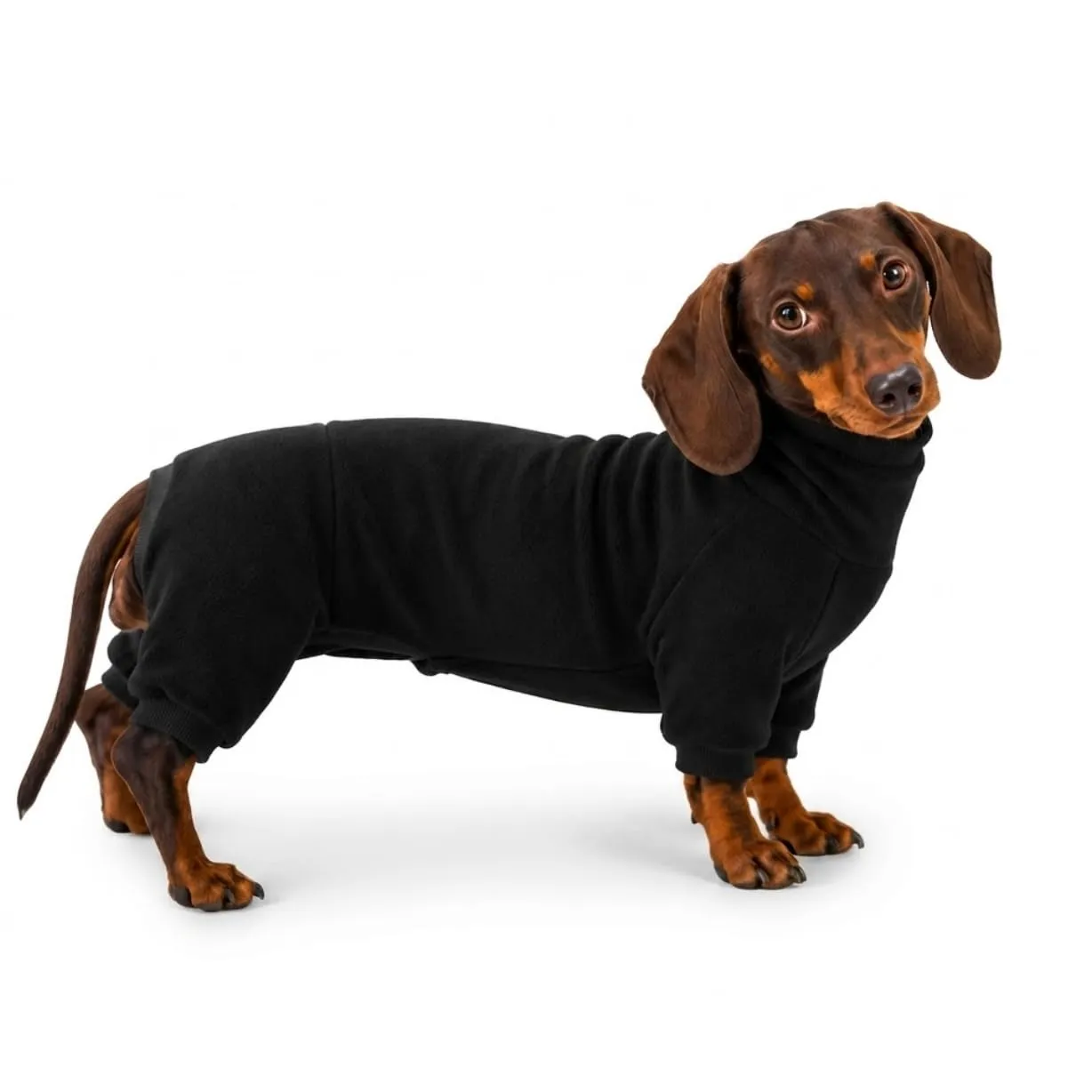ESCCBOO Maglione a collo alto invernale per bassotto, nero, XL - immagine 1