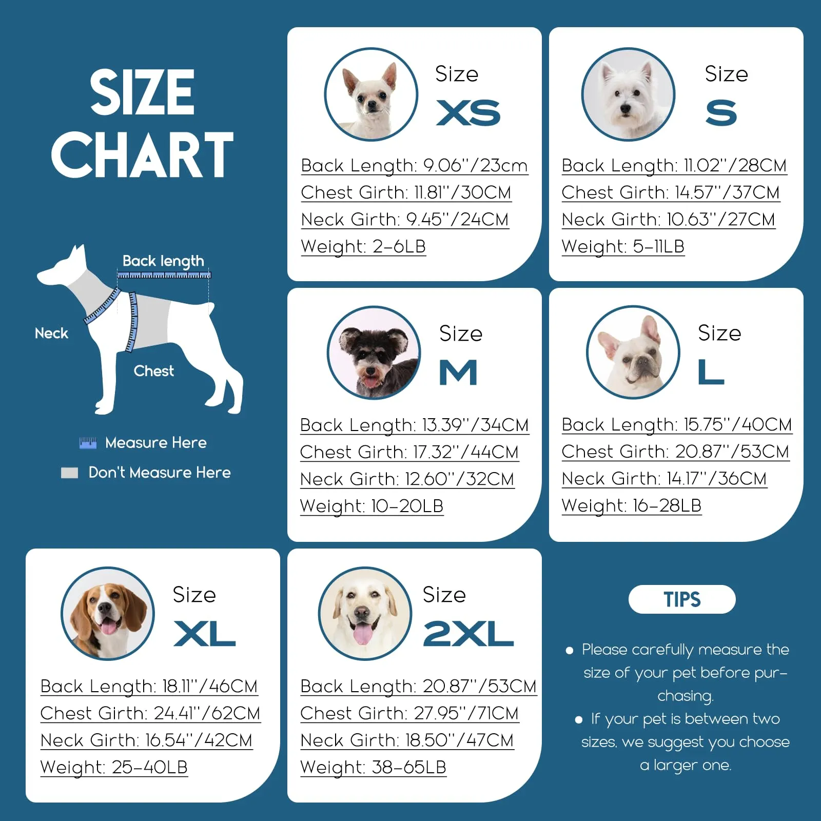 ASENKU Maglioncino per Cane, Taglia S, Blu - immagine 5