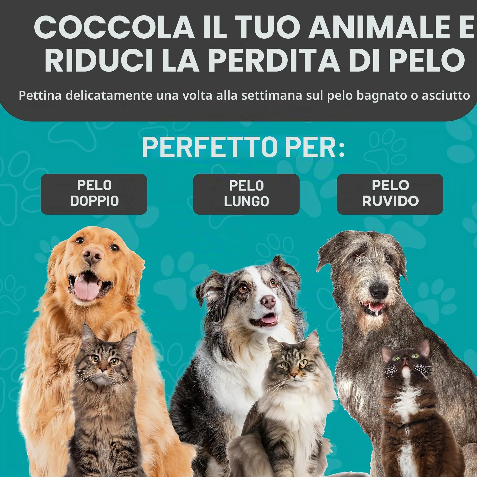 Maxpower Planet Spazzola per Toelettatura Animali Domestici, Pettine Rastrello Doppio Strato per Cani e Gatti, Large, Giallo - immagine 4