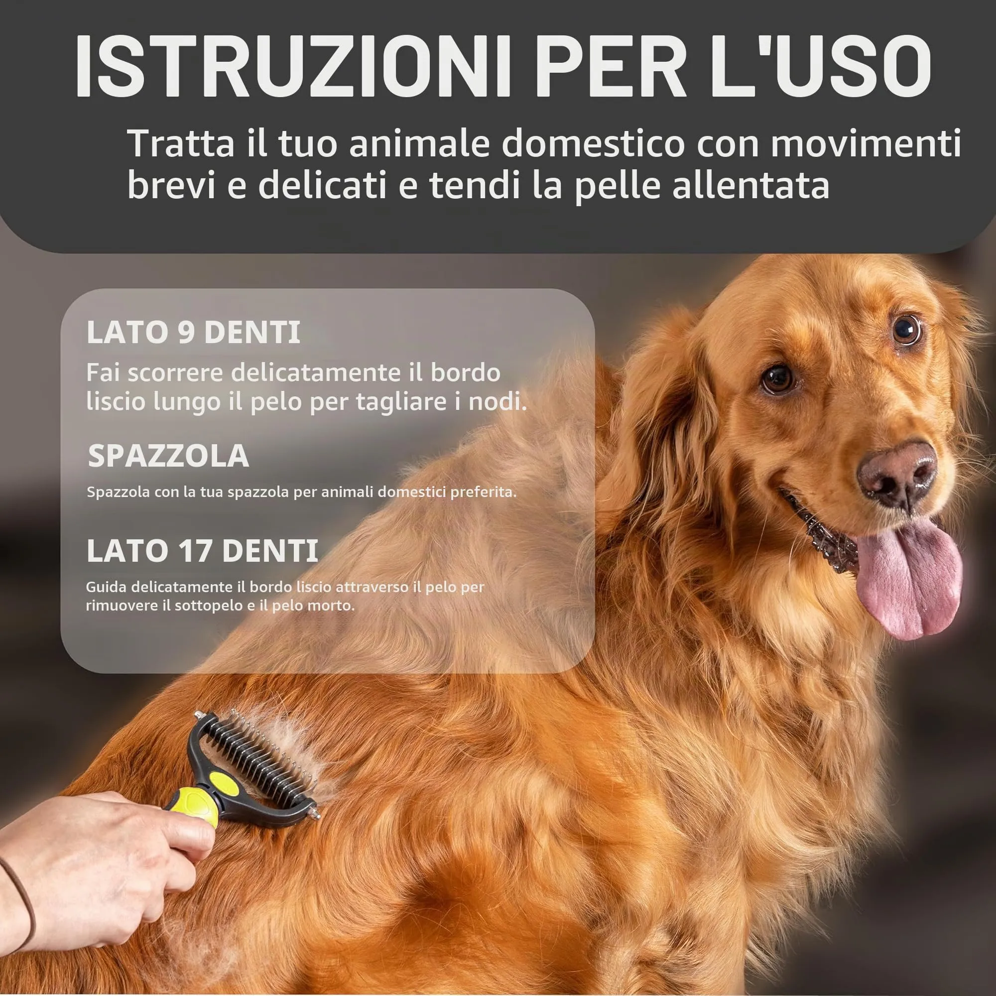Maxpower Planet Spazzola per Toelettatura Animali Domestici, Pettine Rastrello Doppio Strato per Cani e Gatti, Large, Giallo - immagine 5
