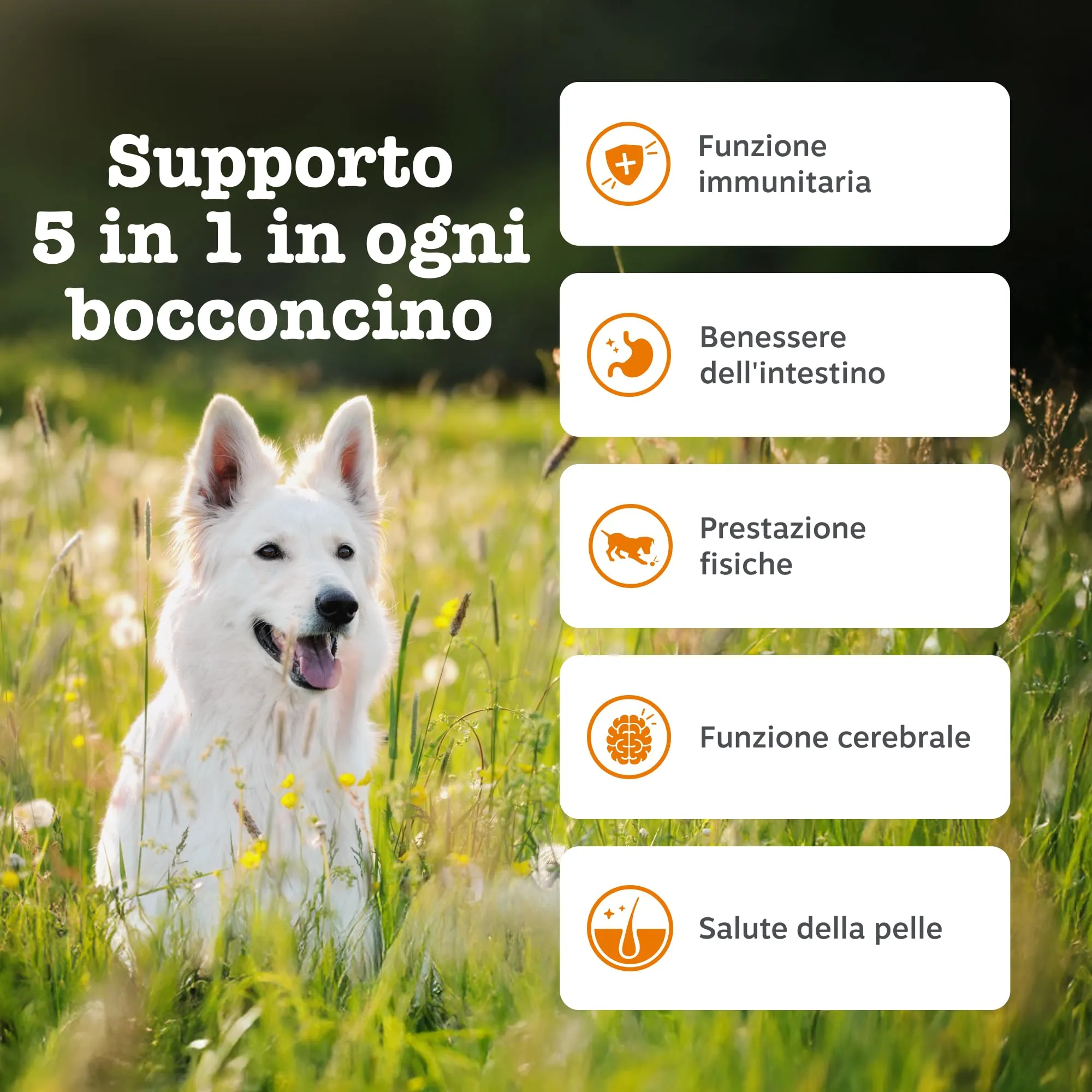 Zesty Paws Multivitaminico 5-in-1 per Cani, 90 Bocconcini - immagine 3