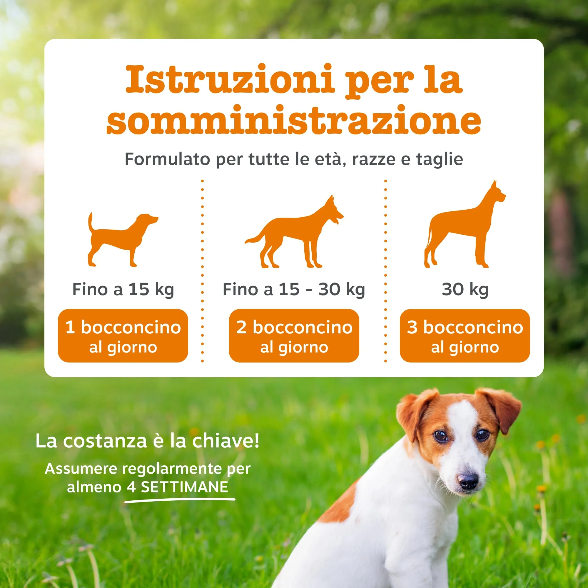 Zesty Paws Multivitaminico 5-in-1 per Cani, 90 Bocconcini - immagine 5