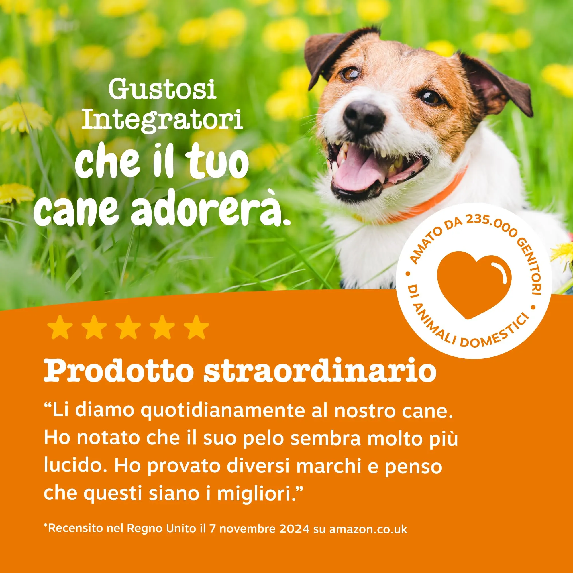 Zesty Paws Multivitaminico 5-in-1 per Cani, 90 Bocconcini - immagine 7