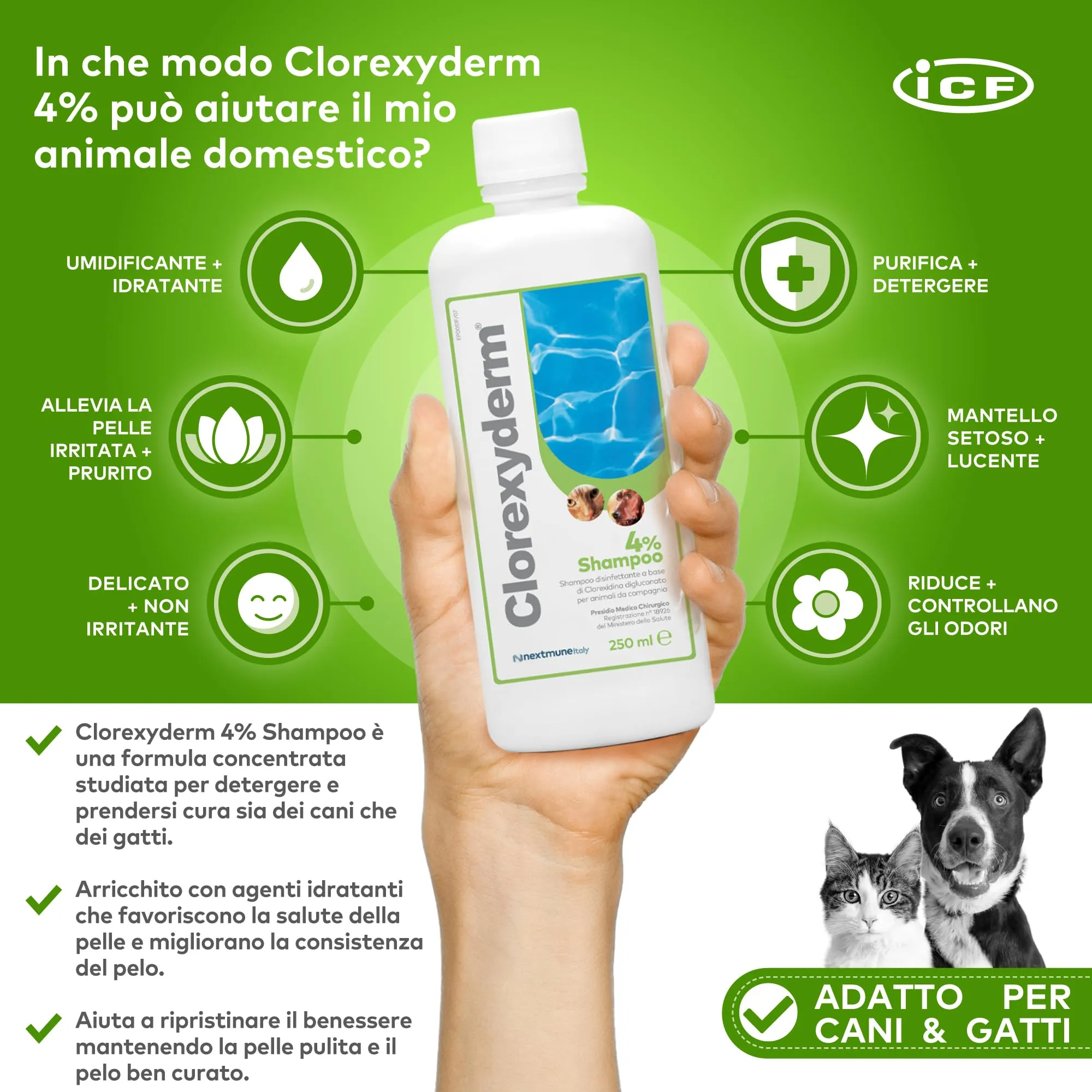 ICF Clorexyderm 4% Shampoo per Cani e Gatti, 250 ml - immagine 2