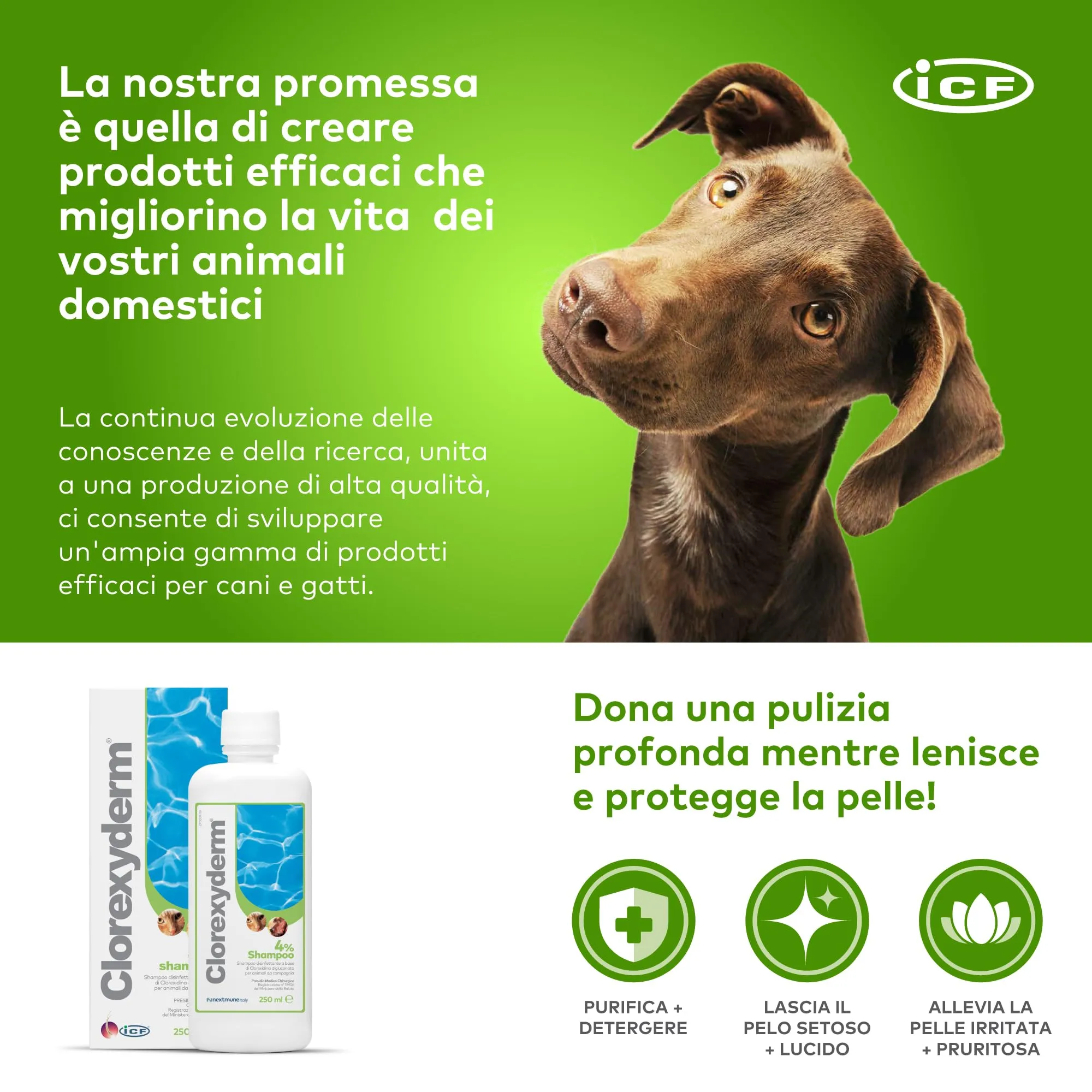 ICF Clorexyderm 4% Shampoo per Cani e Gatti, 250 ml - immagine 4