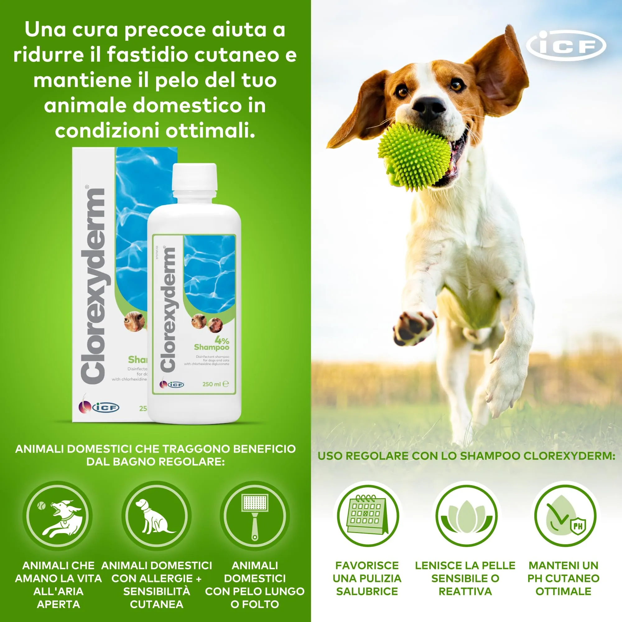 ICF Clorexyderm 4% Shampoo per Cani e Gatti, 250 ml - immagine 5