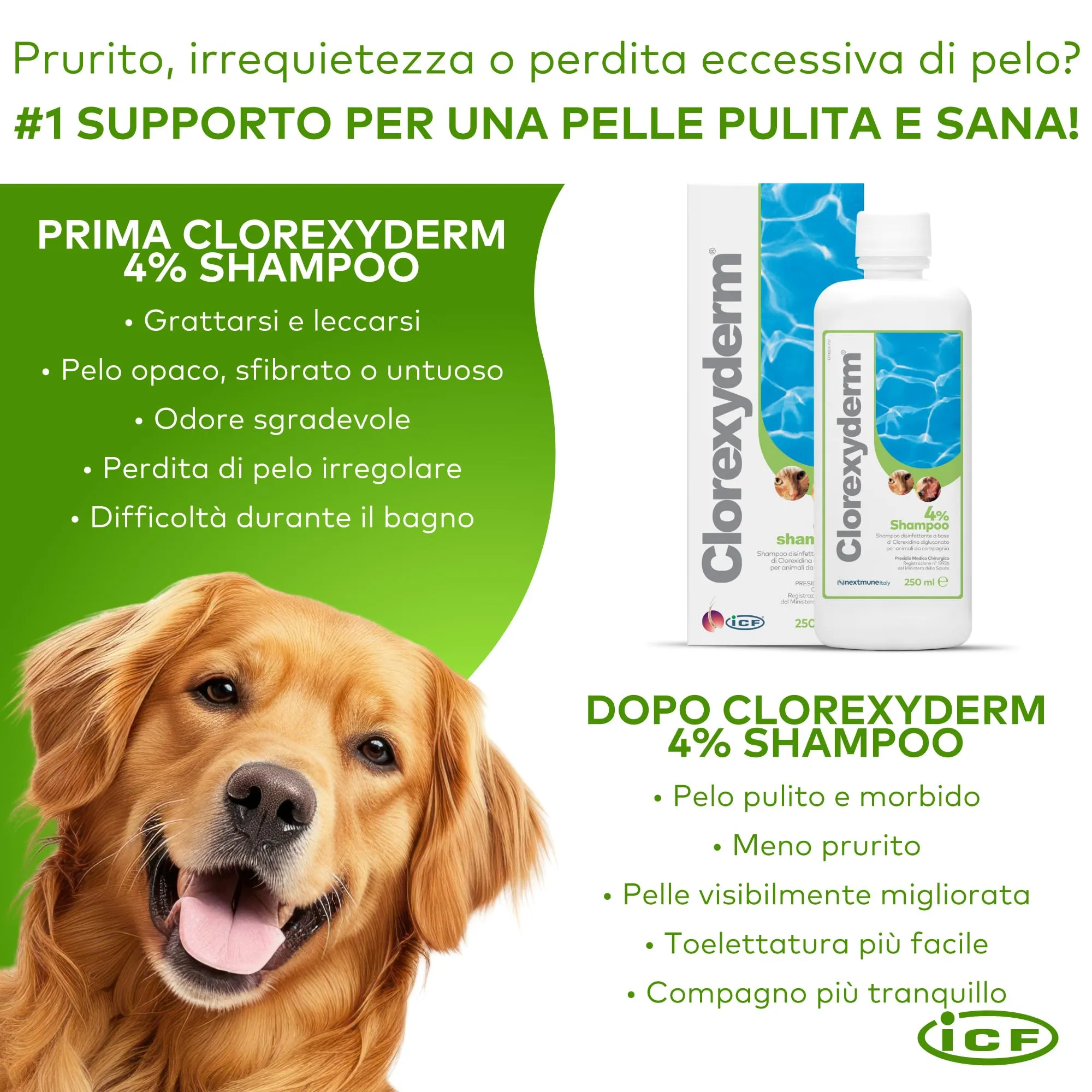 ICF Clorexyderm 4% Shampoo per Cani e Gatti, 250 ml - immagine 8