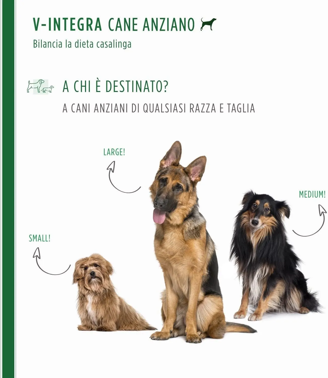 V-INTEGRA Cane Anziano Integratore Multivitaminico e Minerale per Dieta Casalinga e BARF, 500g - immagine 3