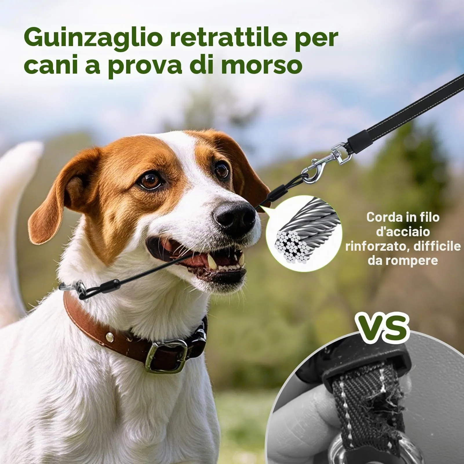 Pecute Guinzaglio Retrattile per Cani 10M fino a 30 kg, Anti-Masticazione, Senza Grovigli a 360° - immagine 2