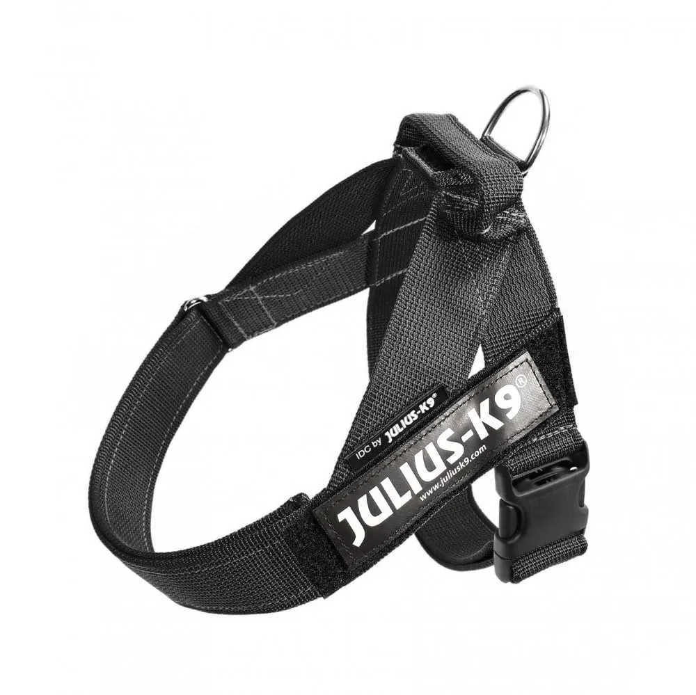 Julius-K9 IDC Color & Gray Belt Harness, Size M/0, Nero-Grigio - immagine 2