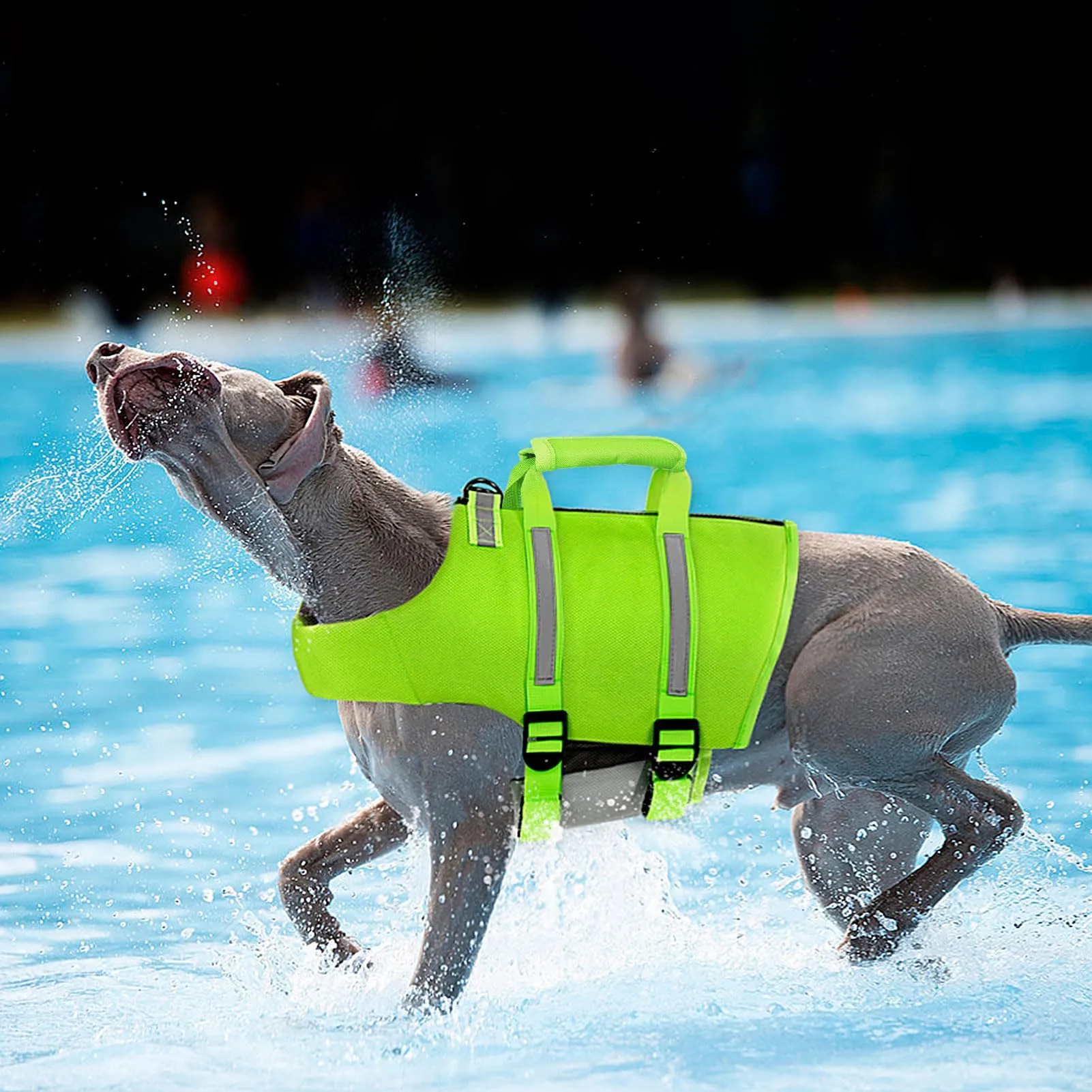 PUZAUKAL Giubbotto Salvagente Cane con Ripstop e Cerniera Sul Dorso - immagine 3