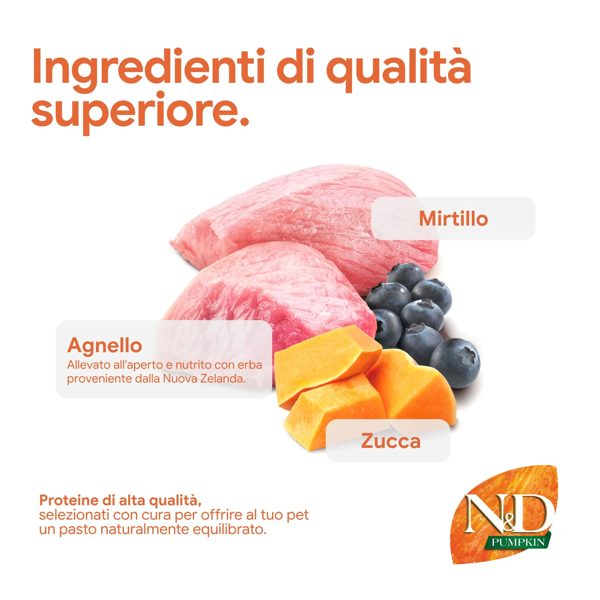 Farmina N&D Pumpkin Lamb, Pumpkin and Blueberries Dog Food Adult Medium/Maxi, 2.5kg - immagine 4