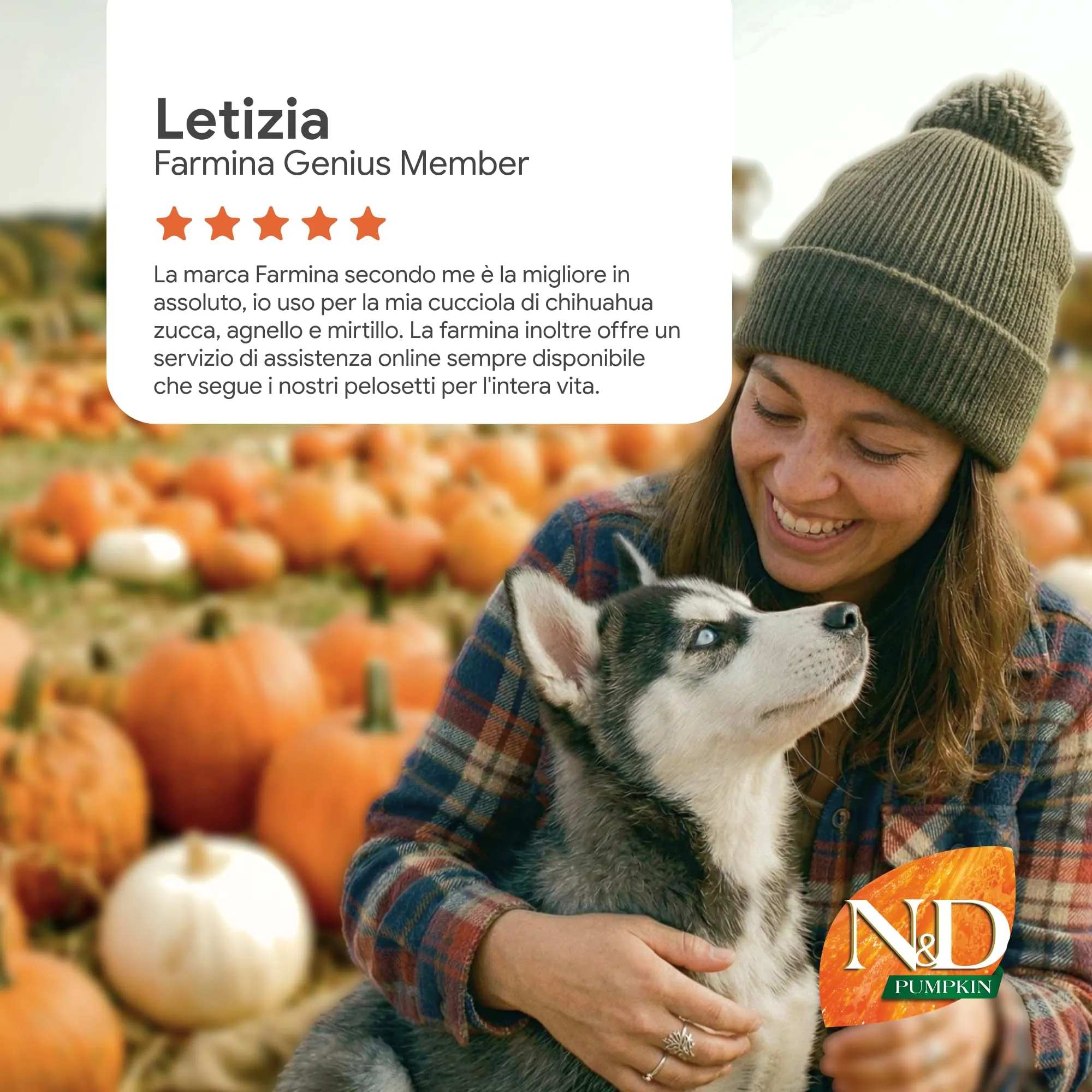 Farmina N&D Pumpkin Lamb, Pumpkin and Blueberries Dog Food Adult Medium/Maxi, 2.5kg - immagine 9