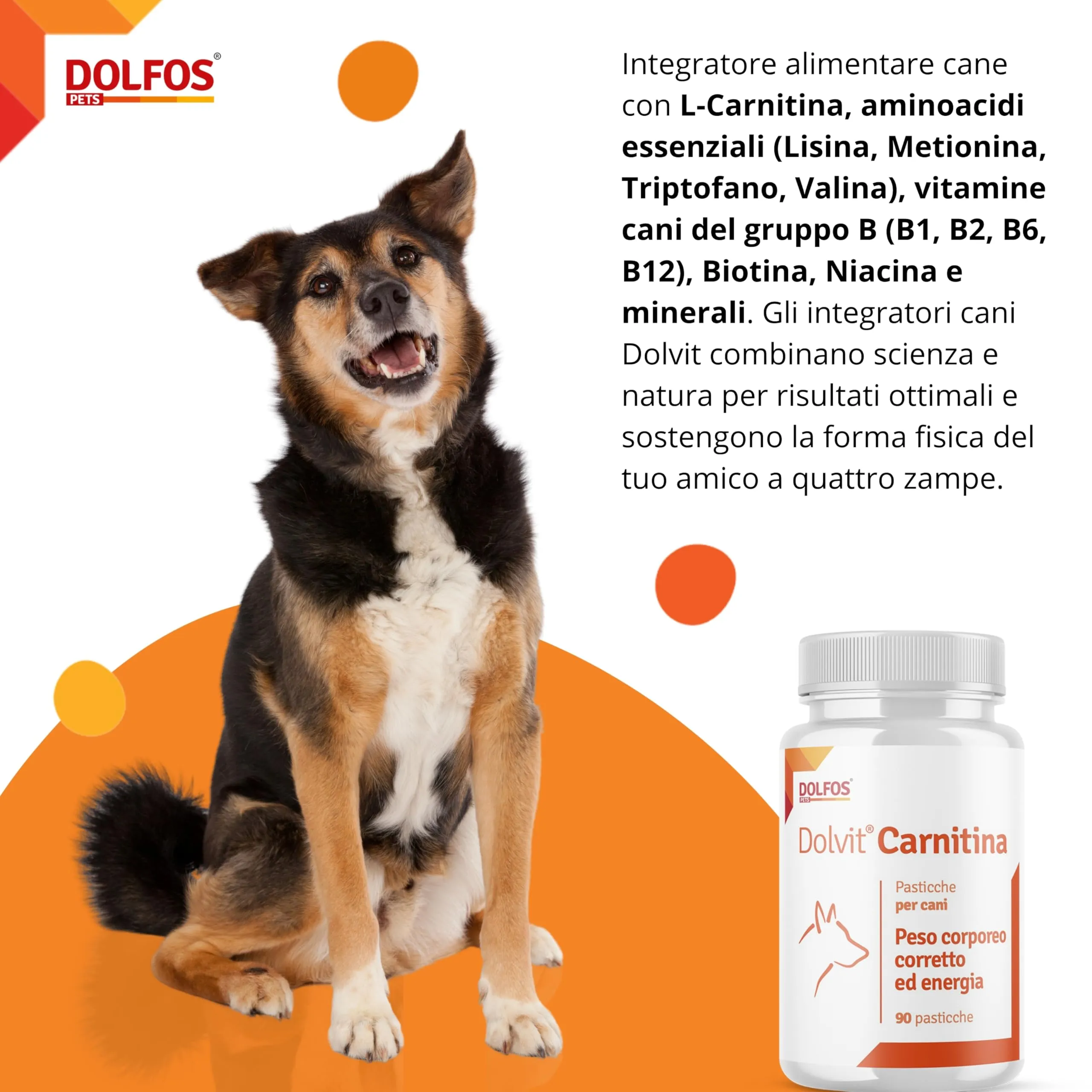 Pets Dolfos Dolvit Carnitine Integratore Cane, 90 Compresse - immagine 5