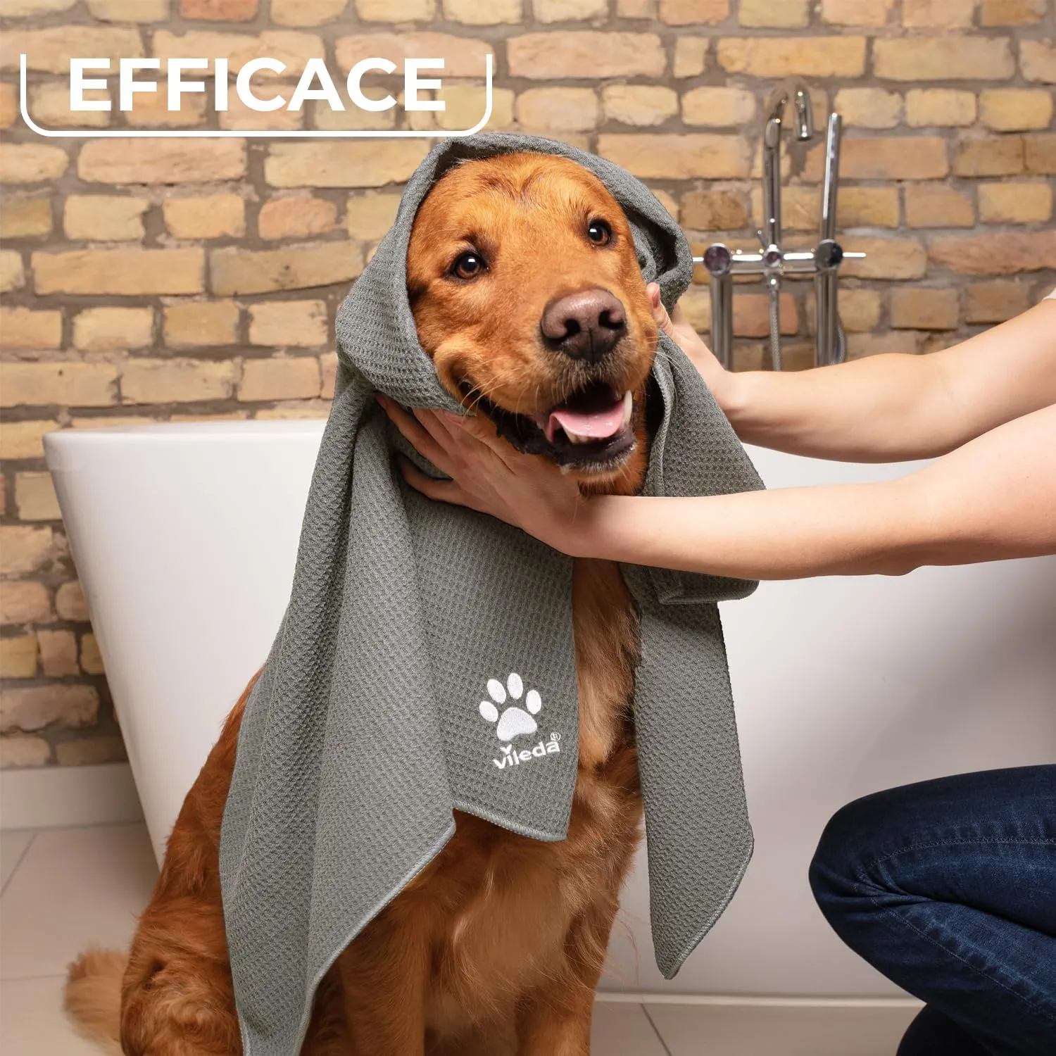Vileda Pet Pro Panno in Microfibra per Animali, Taglia M - immagine 2
