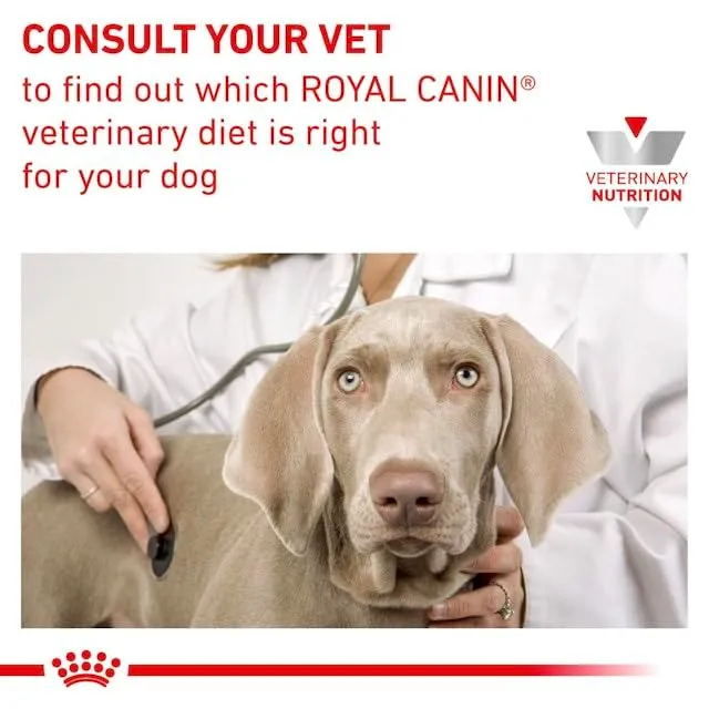 Royal Canin Veterinary Gastrointestinal Puppy, 2 x 1 kg - immagine 4