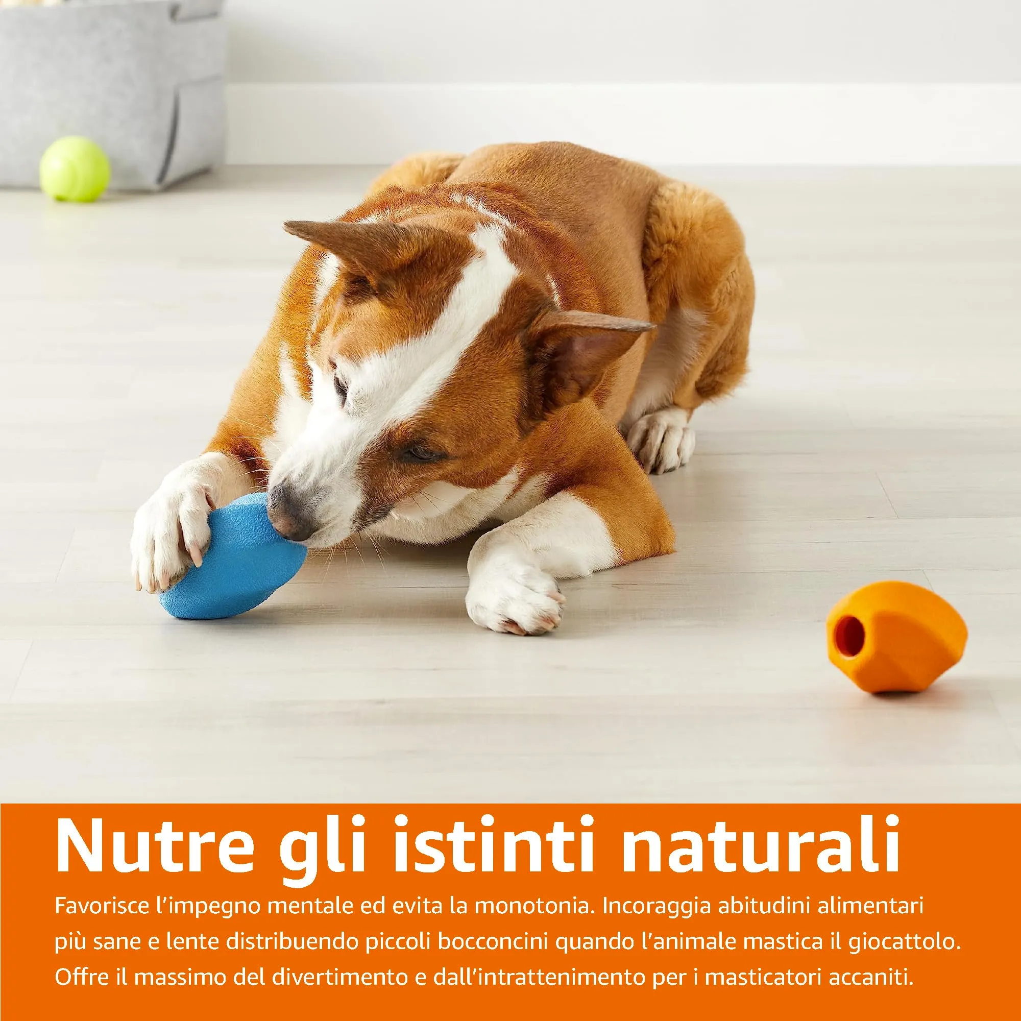 Amazon Basics Giochino da Masticare per Cane con Erogatore di Snack, Misura Media, 2 Pezzi, Arancione e Blu - immagine 7