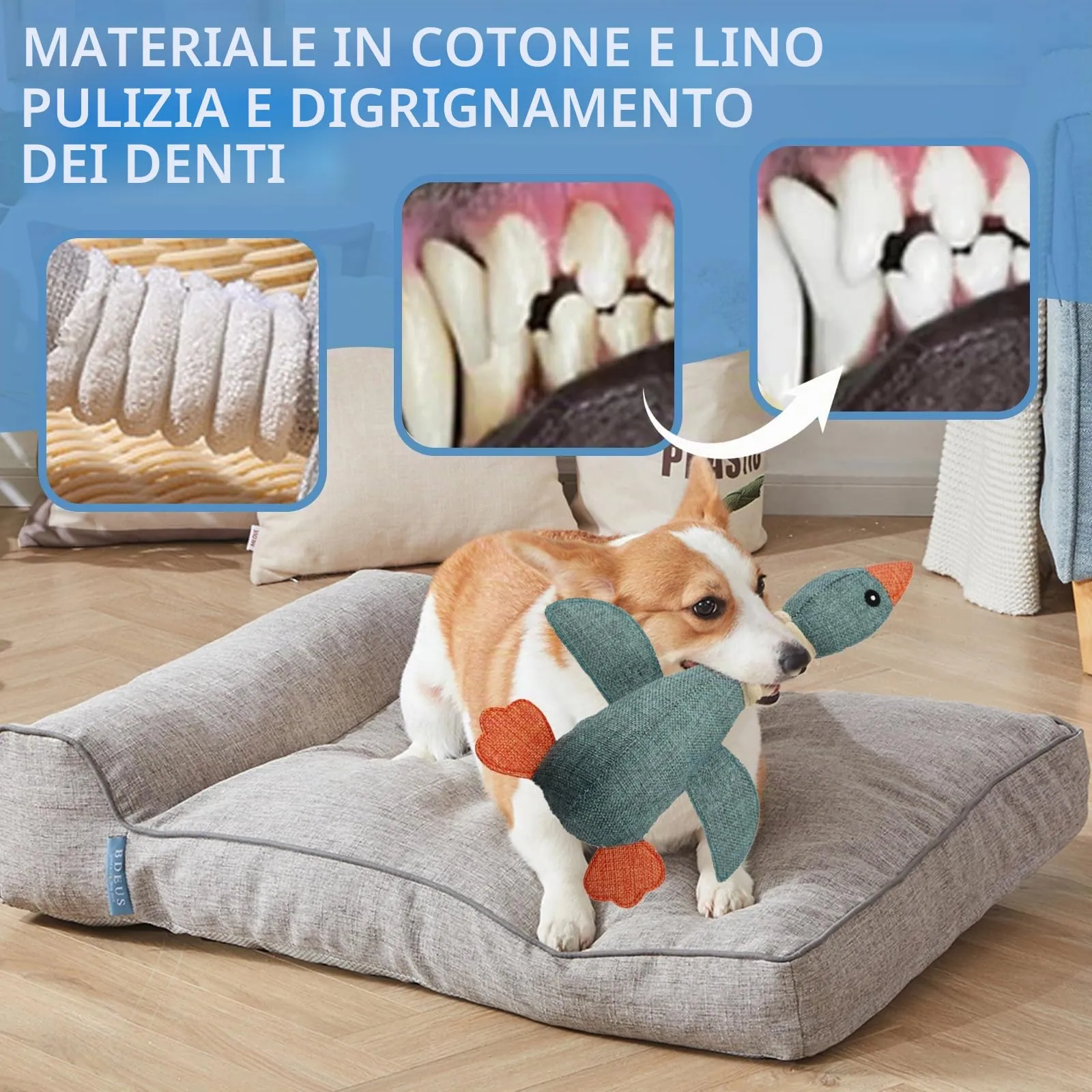ARYIMYDP Anatra con Squittio Giocattolo in Peluche per Cani, Blu - immagine 5