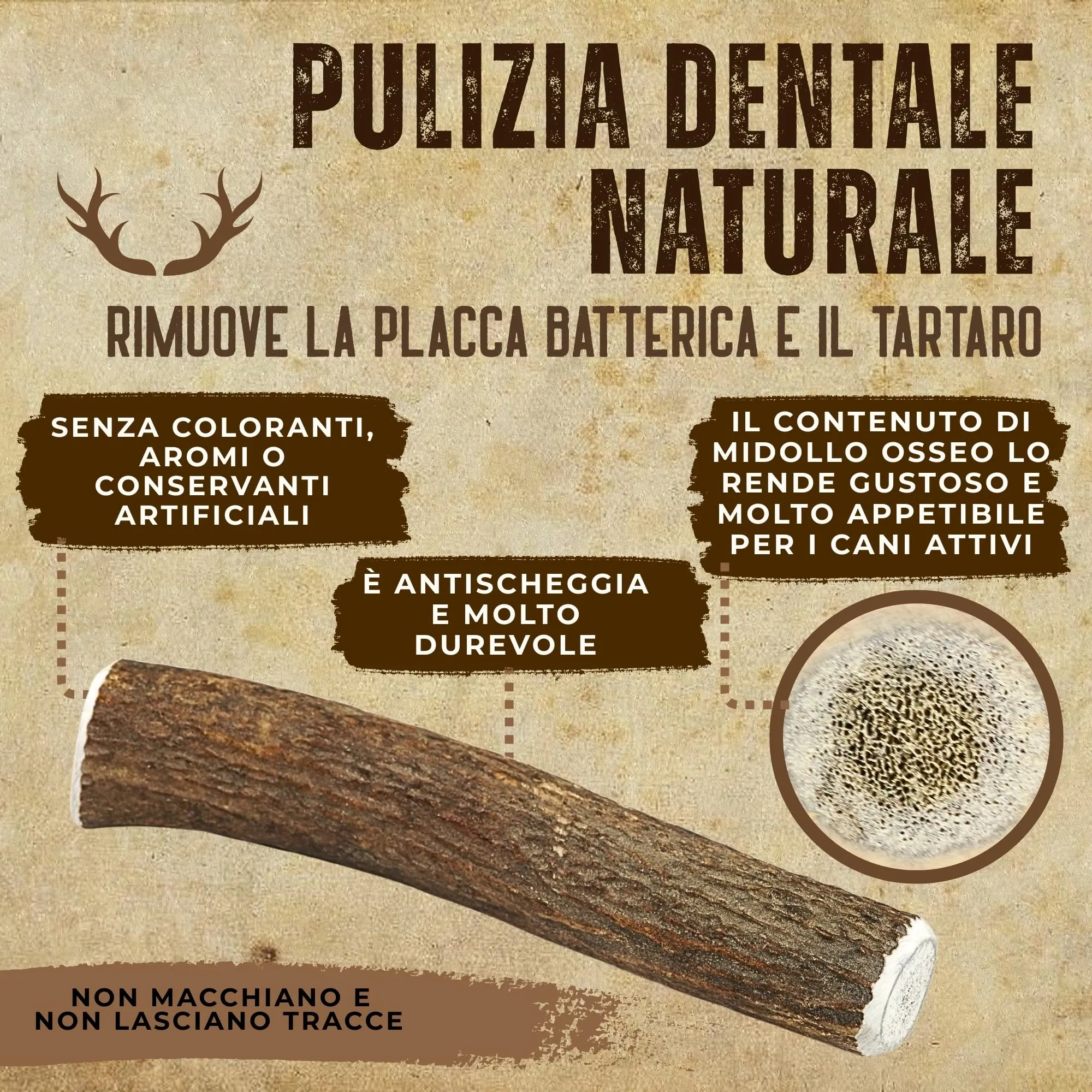 Kira&Gara Corno di Cervo Naturale per Cani, M 71-100g, 2pz - immagine 5