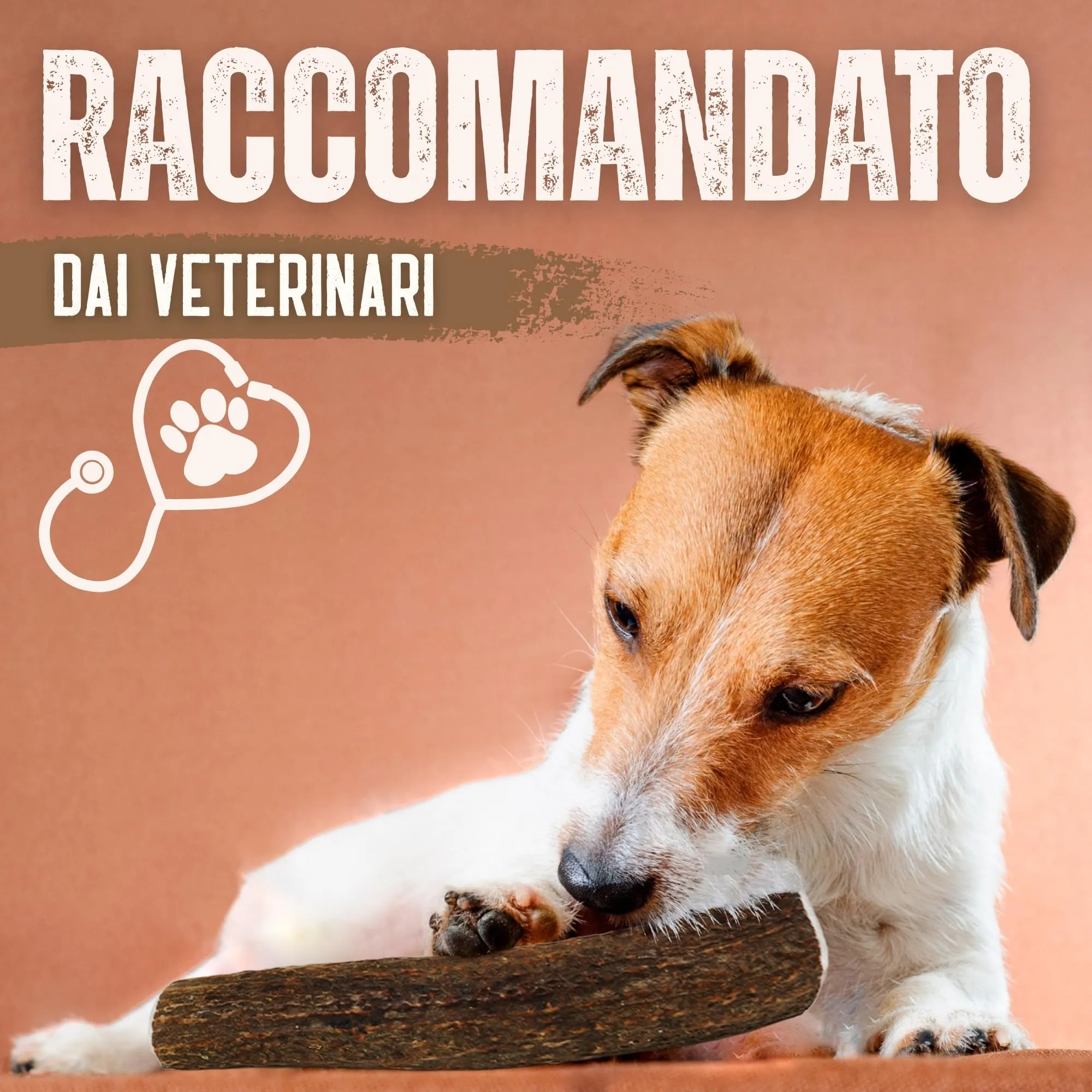 Kira&Gara Corno di Cervo Naturale per Cani, M 71-100g, 2pz - immagine 8