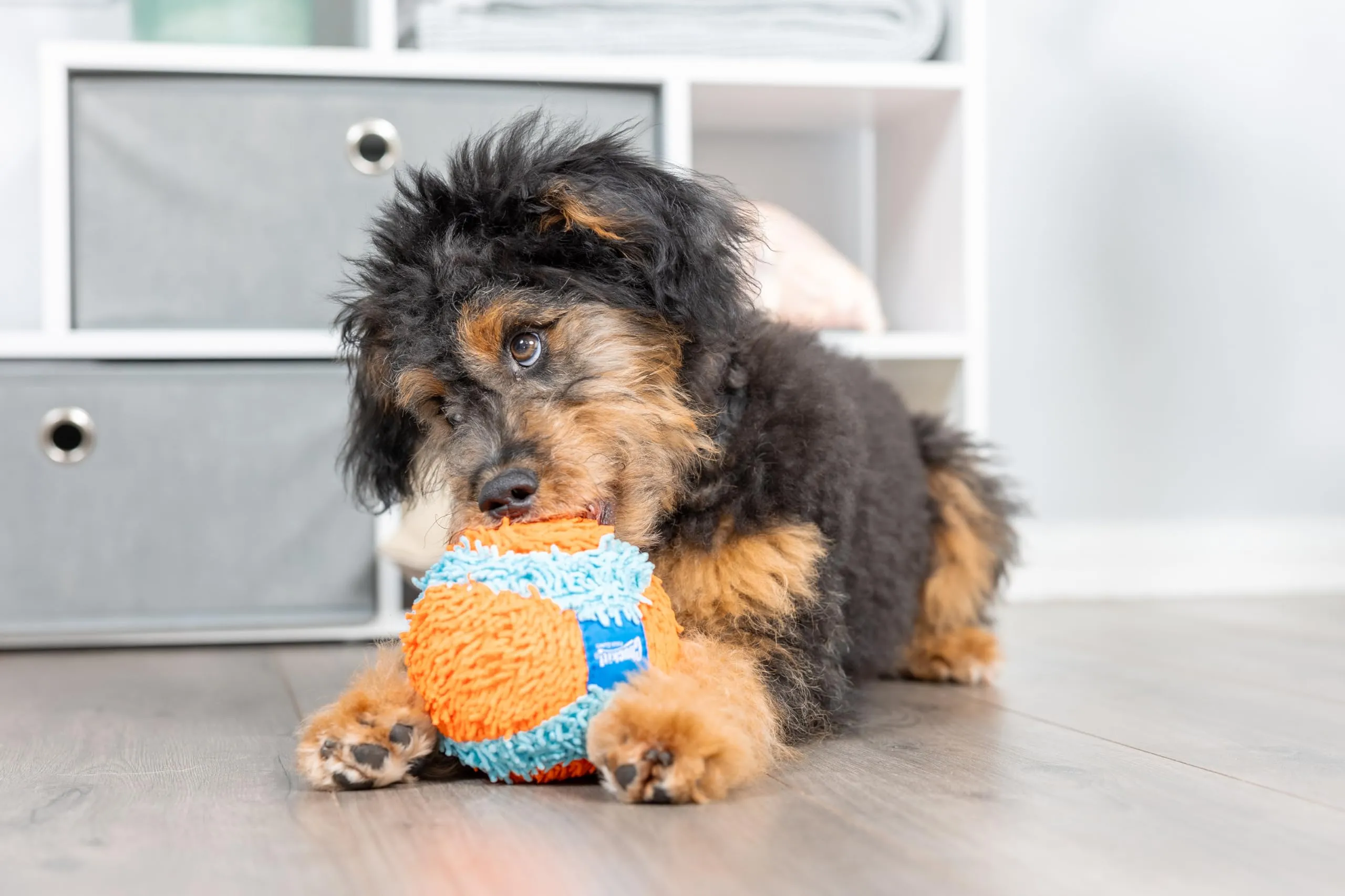 Chuckit Indoor Ball - immagine 2