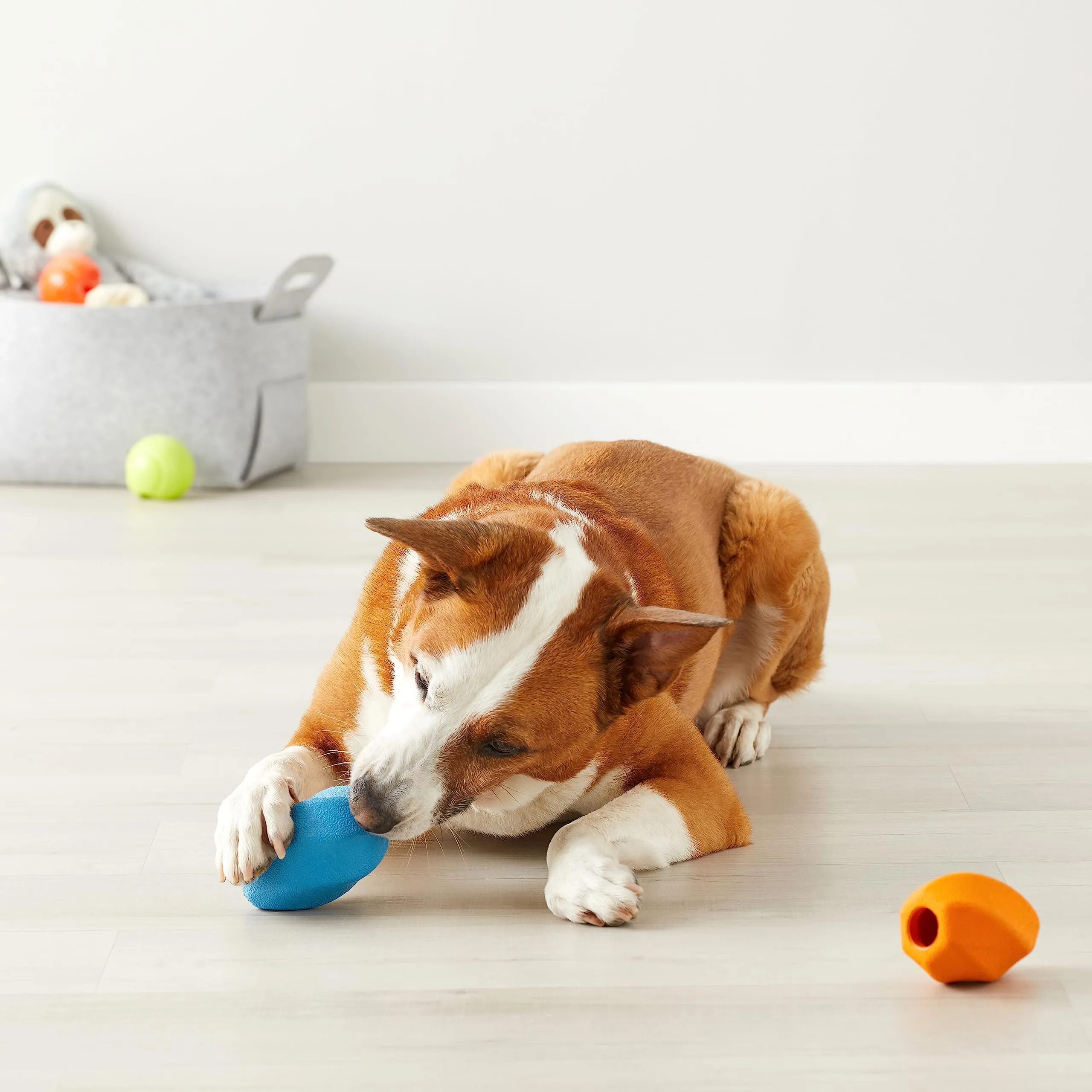 Amazon Basics Giochino da Masticare con Snack per Cane, Confezione da 2, Misura Grande, Arancione, Blu - immagine 2