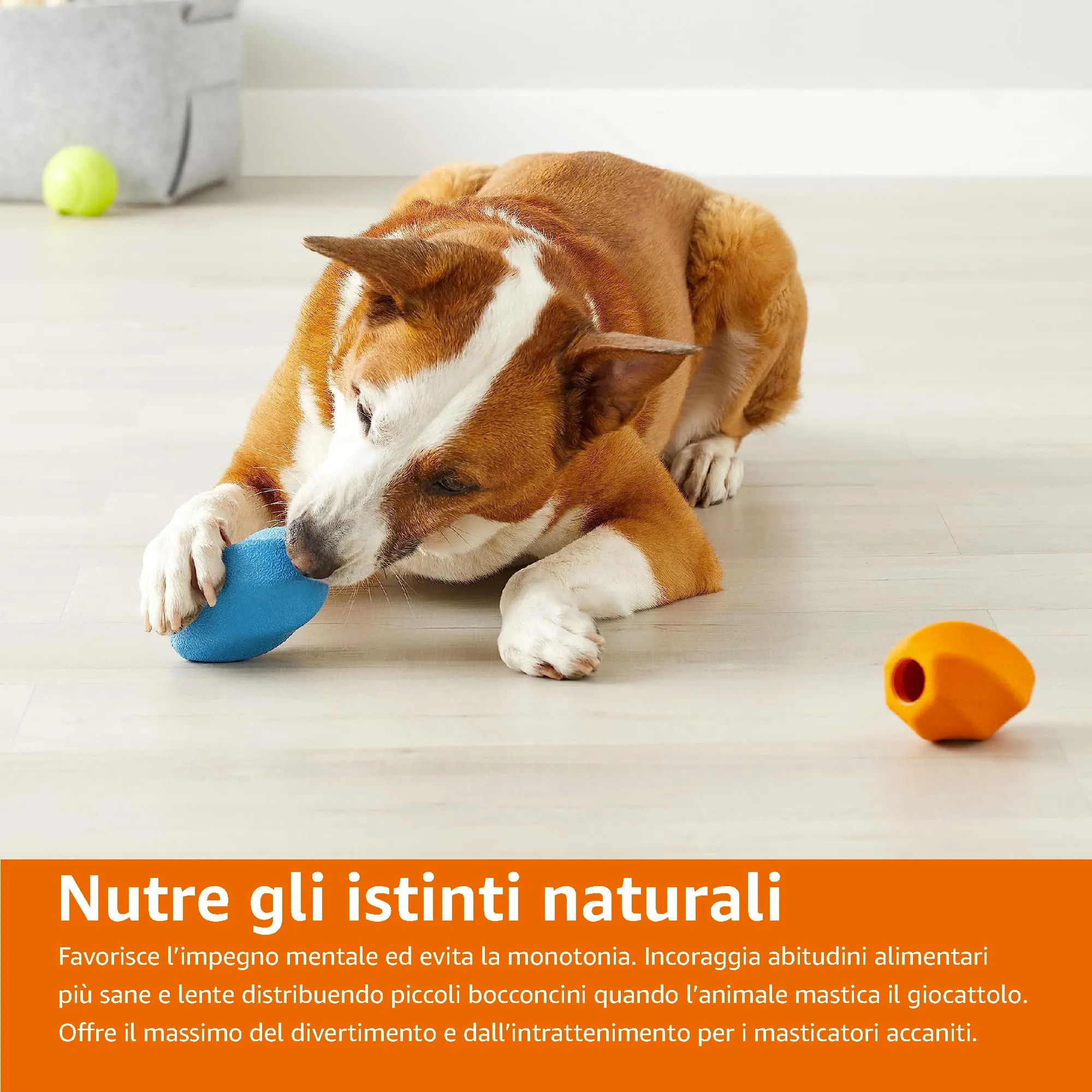 Amazon Basics Giochino da Masticare con Snack per Cane, Confezione da 2, Misura Grande, Arancione, Blu - immagine 7