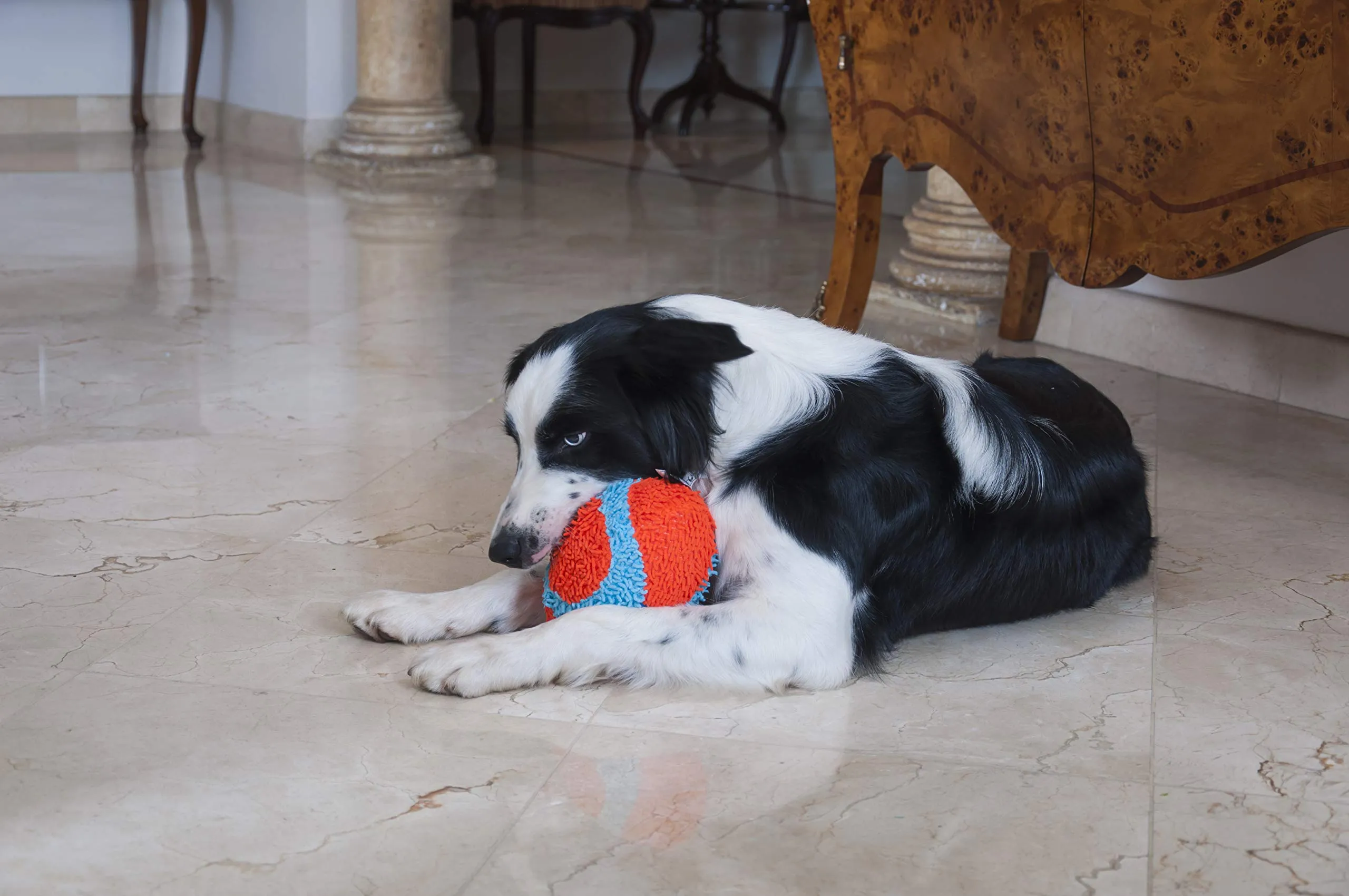 Chuckit Indoor Fumbler - immagine 2