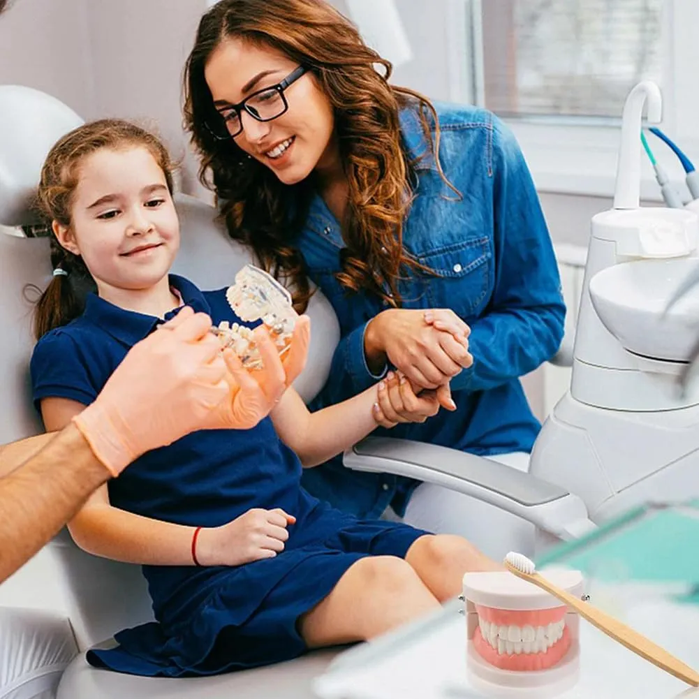 Tokaneit Modello Dentale Standard per Adulti, 28 Denti - immagine 3