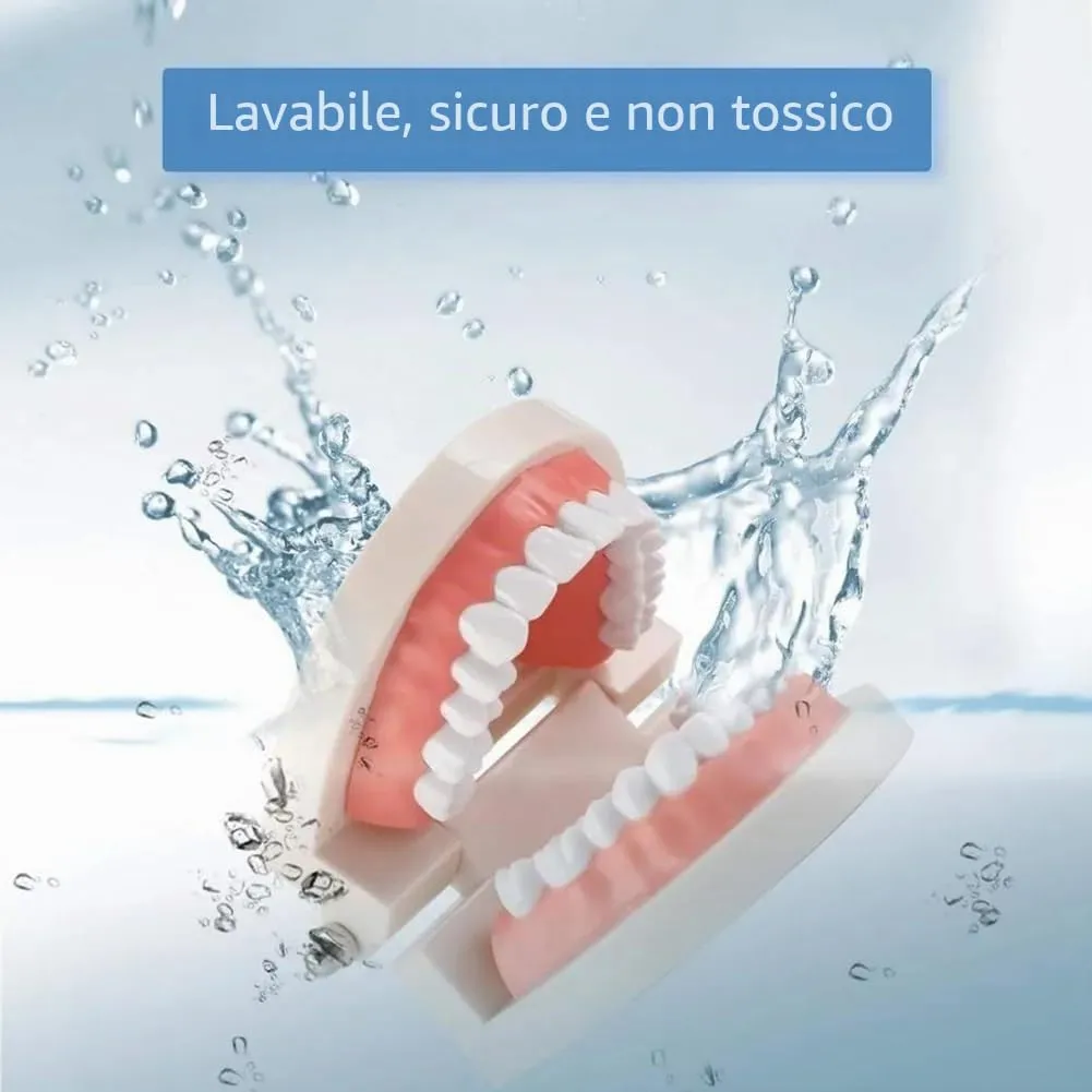 Tokaneit Modello Dentale Standard per Adulti, 28 Denti - immagine 4