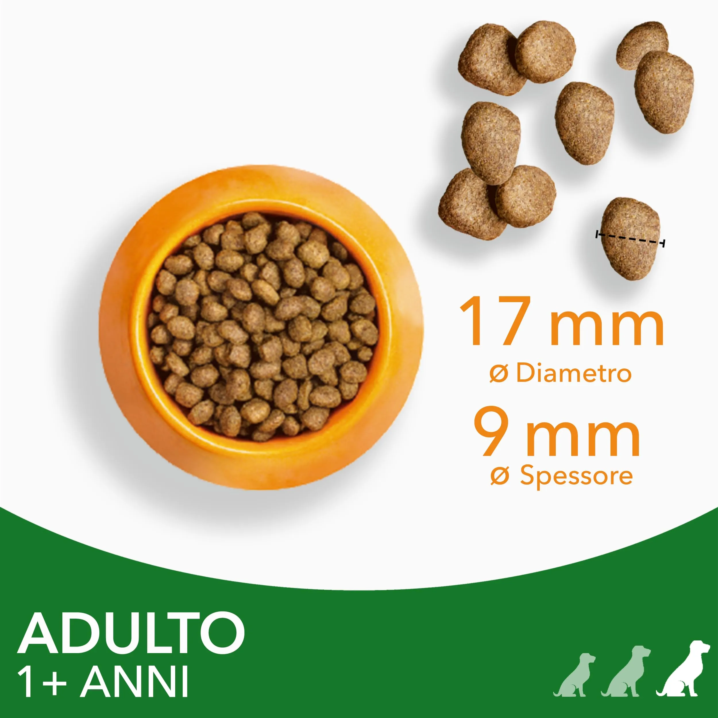 IAMS Cibo secco per cani adulti taglia grande con agnello, 3 kg - immagine 4