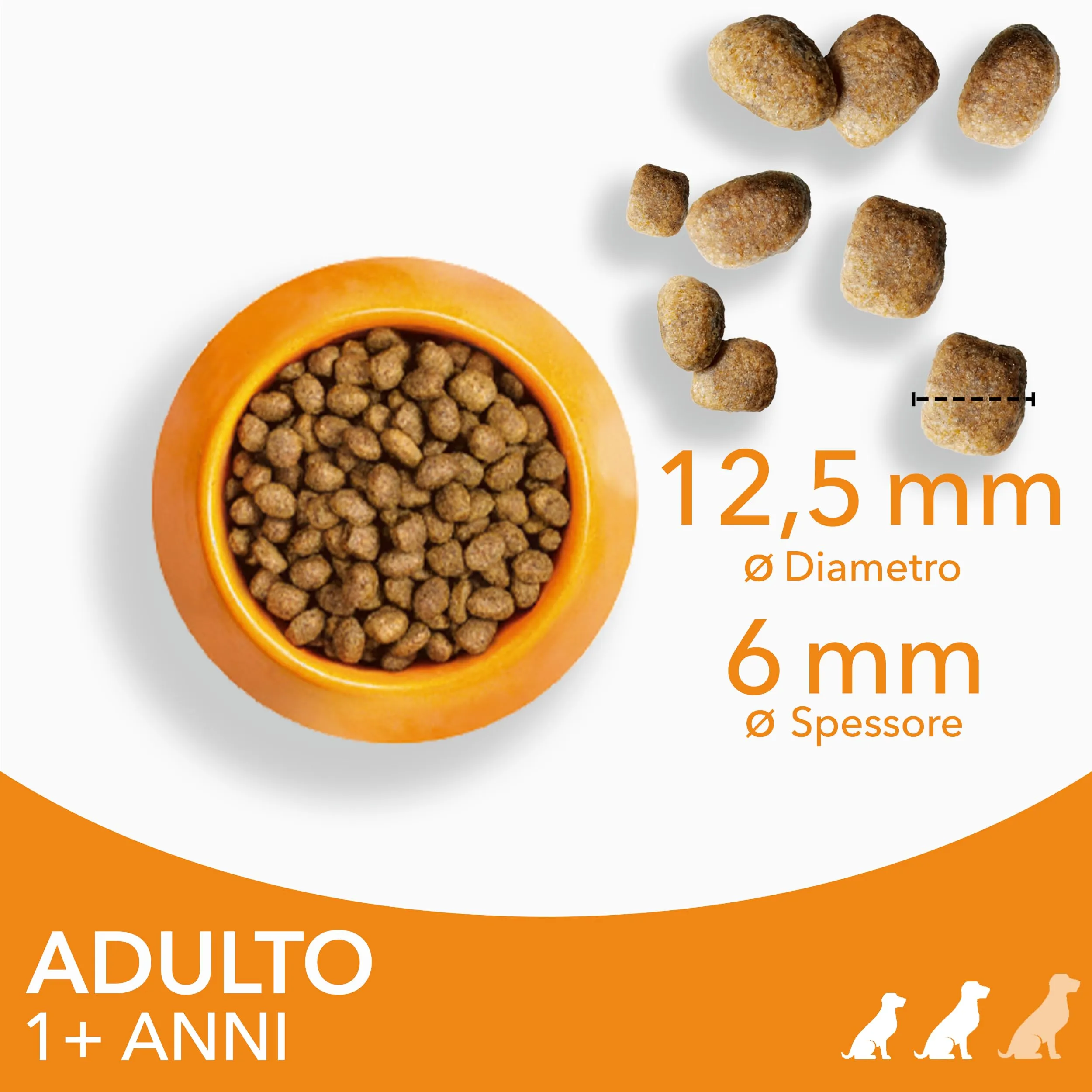 IAMS Cibo secco per cani adulti piccola/media al pollo, 5 kg - immagine 4