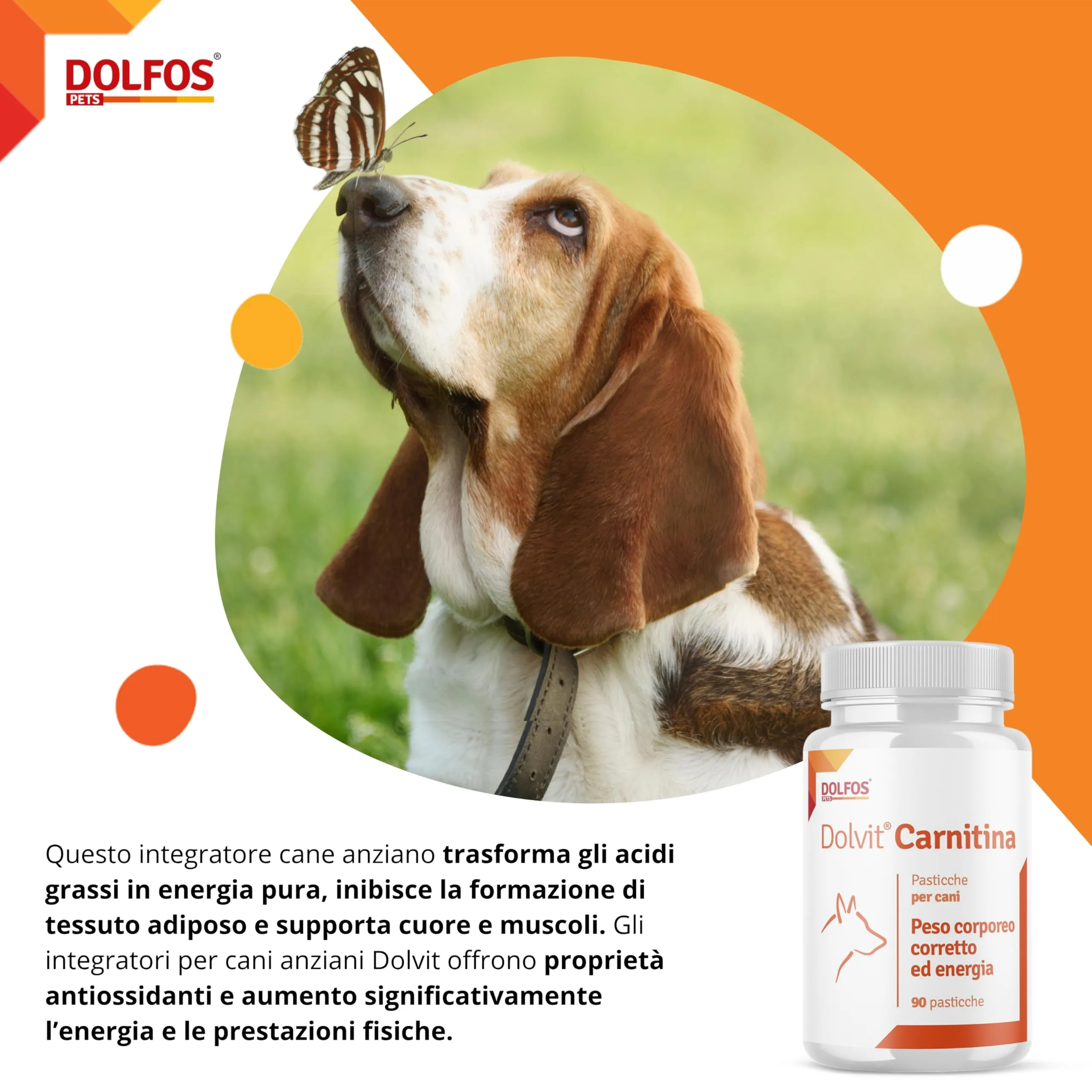 Dolfos Dolvit Carnitina per Cani, 3 confezioni da 90 capsule - immagine 4