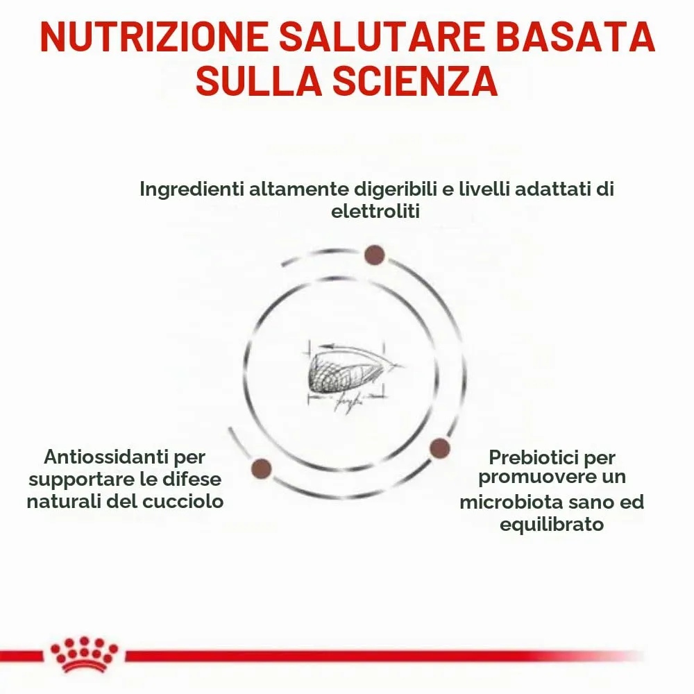 Royal Canin Gastrointestinal Puppy Dry Dog Food 10 kg - immagine 4