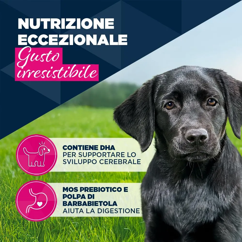 Eukanuba Cibo Umido Cucciolo con Tacchino e Carote, 6 x 400 g - immagine 3
