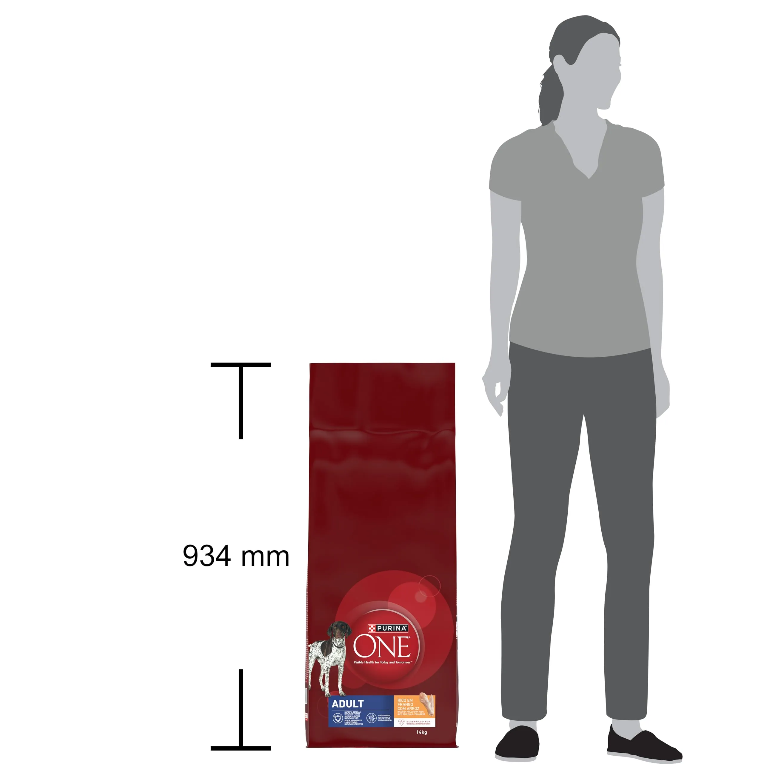 Purina ONE Crocchette per Cani Adulti, Pollo e Riso, 14kg - immagine 3