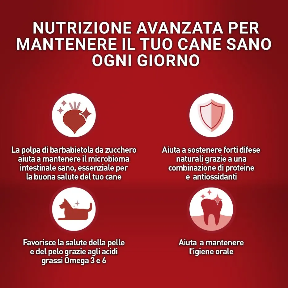 Purina ONE Crocchette per Cani Adulti, Pollo e Riso, 14kg - immagine 4