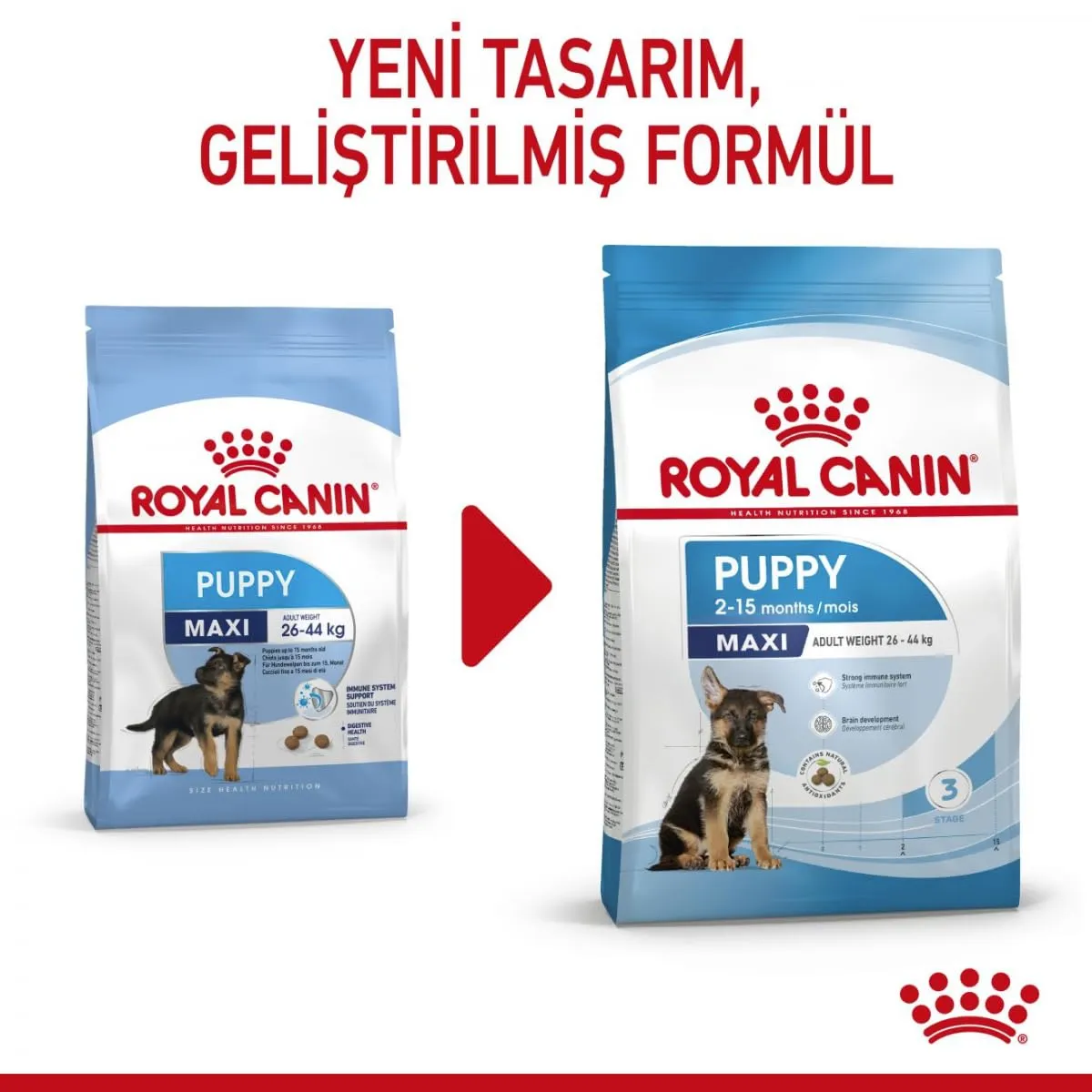 Royal Canin Maxi Junior Dog Food - 15 kg - immagine 5