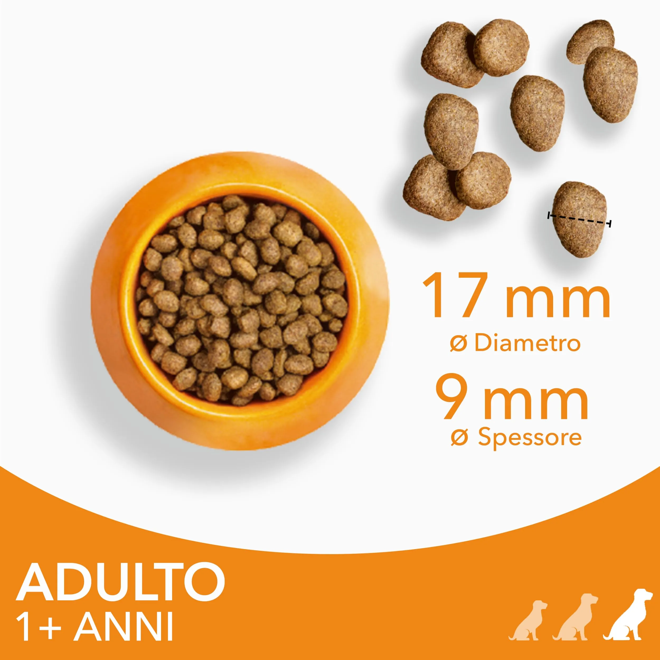 IAMS Cibo secco per cani di taglia grande al pollo, 12 kg - immagine 4