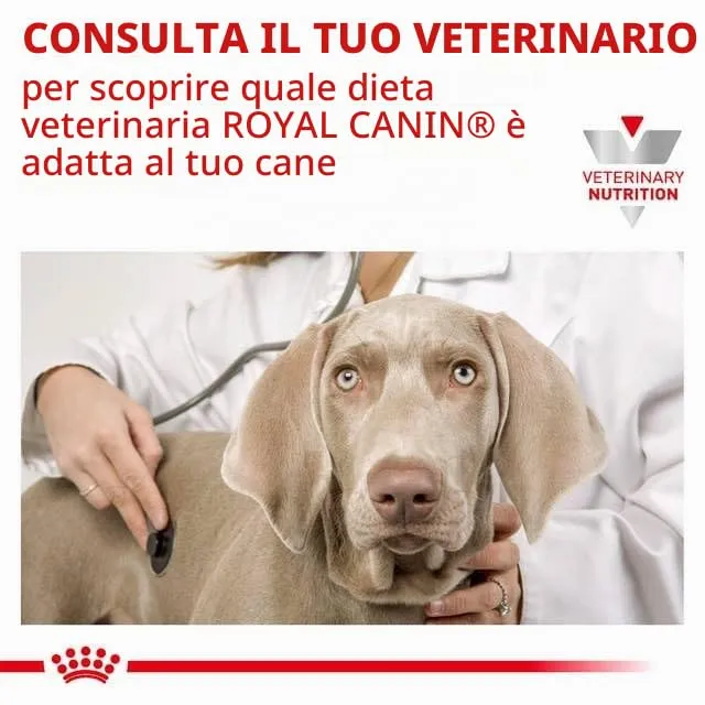 Royal Canin Veterinary Gastrointestinal Puppy, 2.5 kg - immagine 4